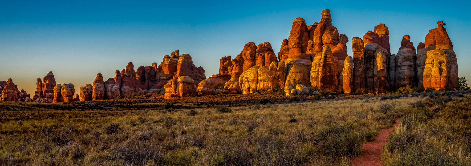 Sandstone Garden | Canyonlands National Park, Utah