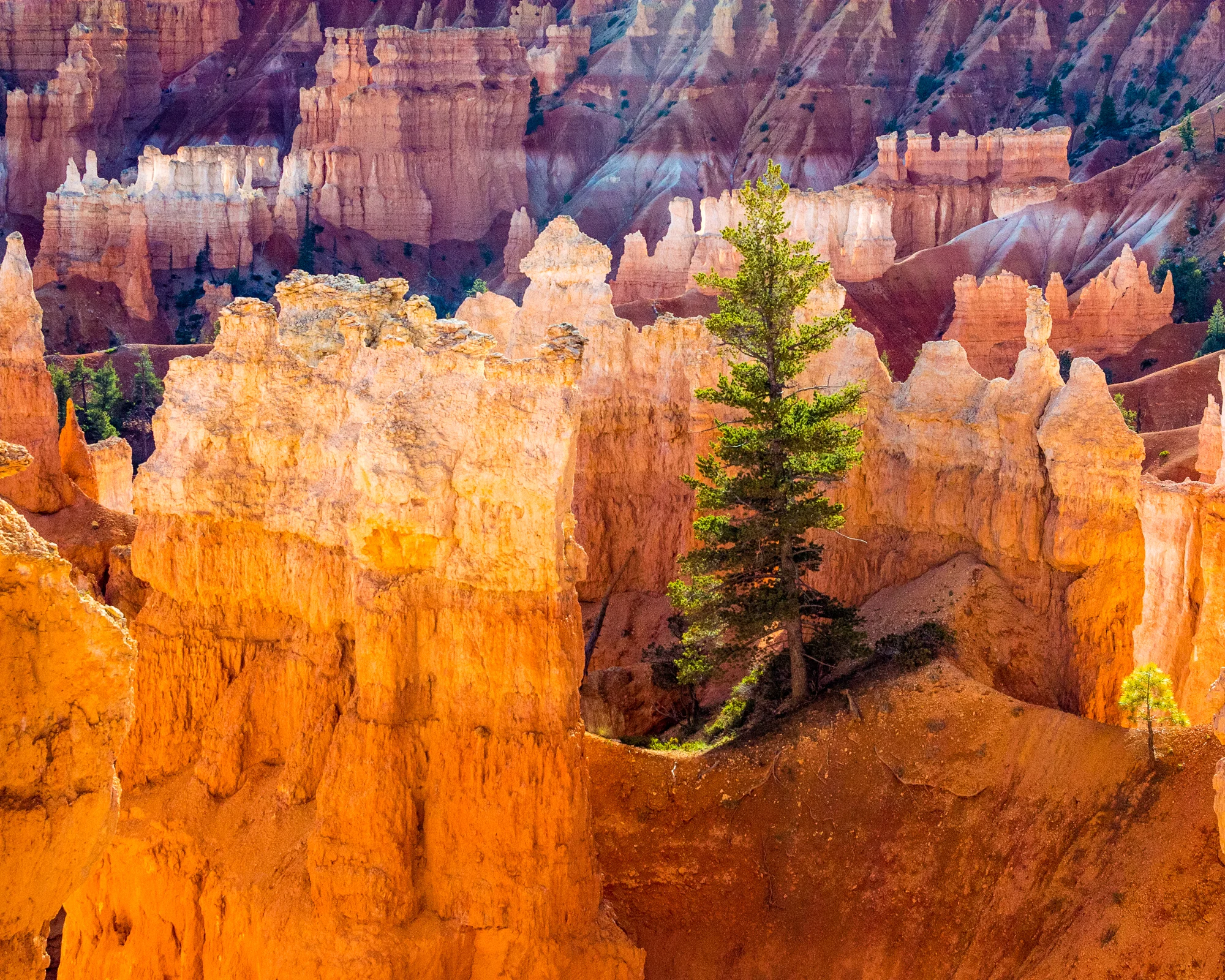 The Amphitheatre | Bryce Canyon National Park, Utah