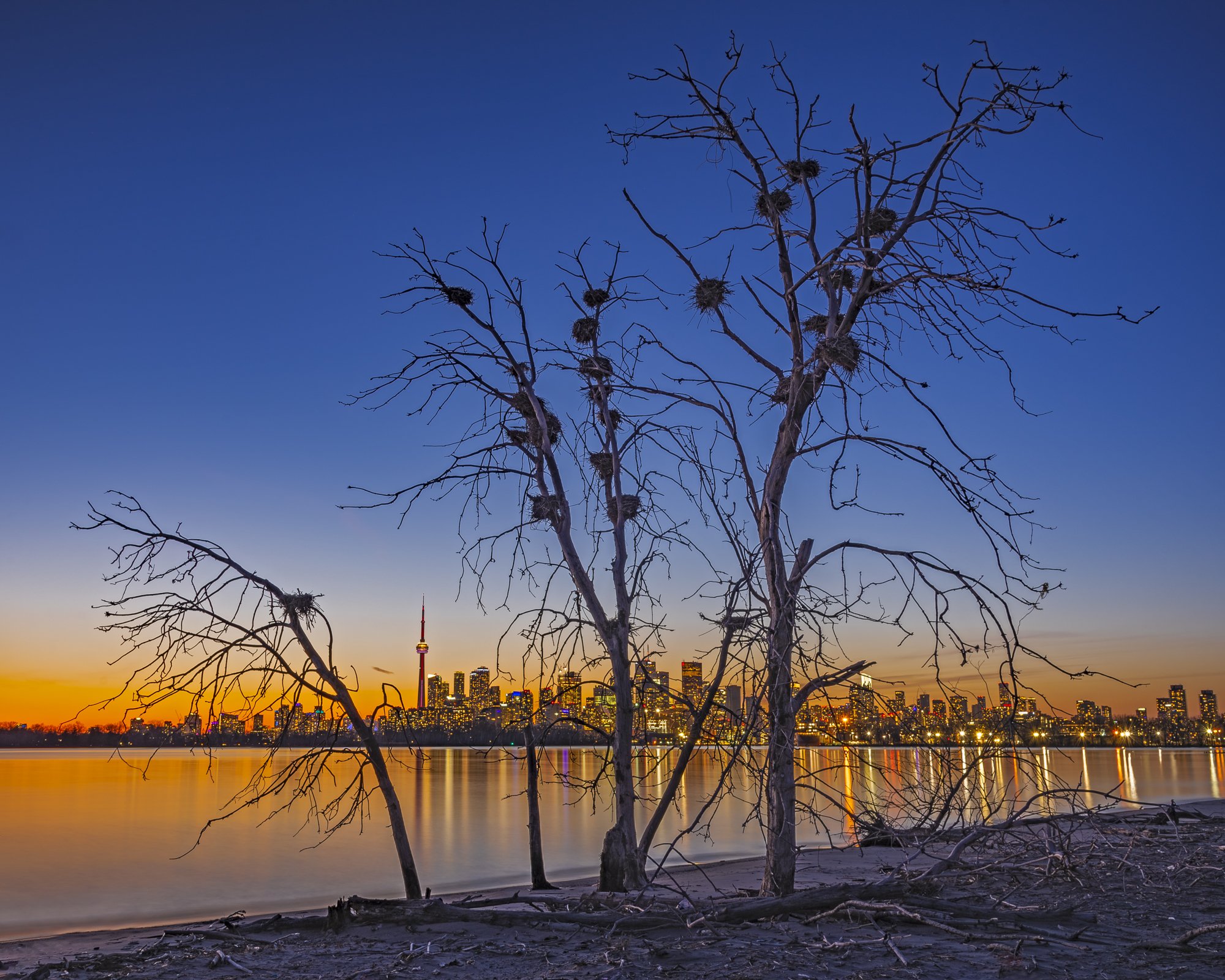 Migrate | Toronto, Ontario