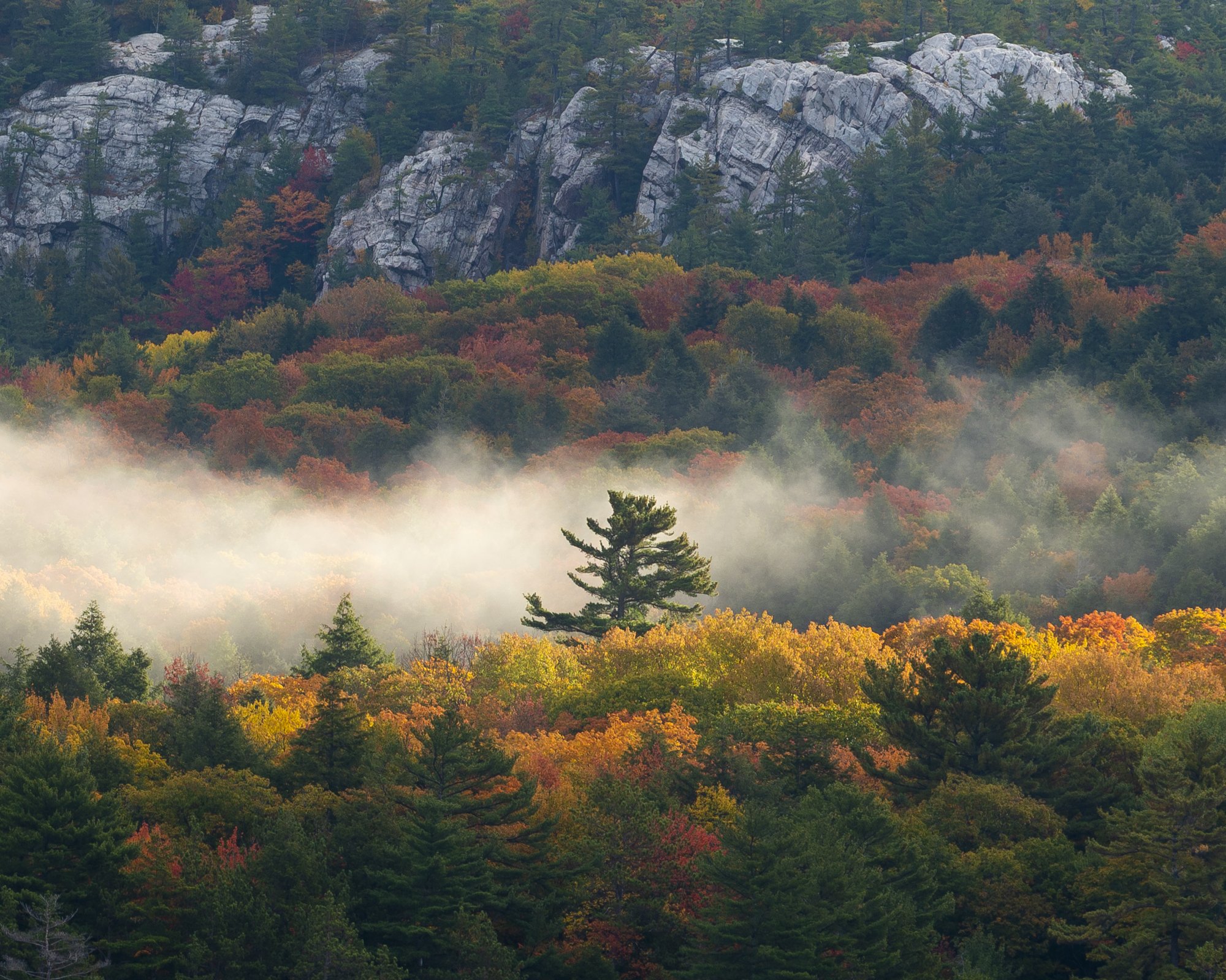 Rise Above | Killarney Provincial Park, Ontario