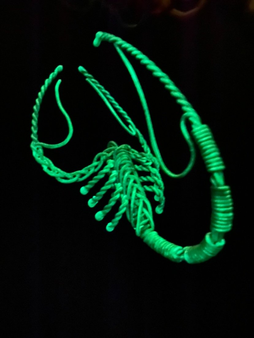 IMG_8805.PNG