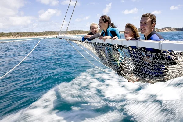 BIAV COMMITTEE OPPORTUNITIES 