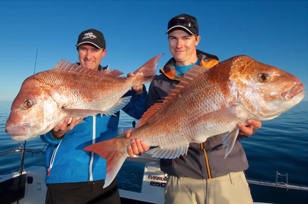 lee rayner snapper.png