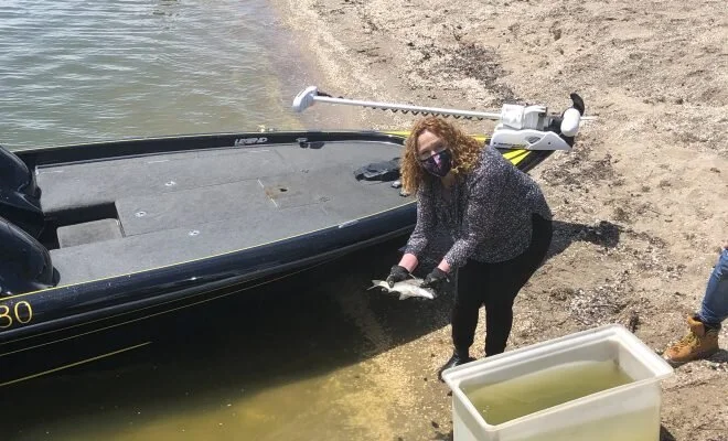 VFA'S GOLDEN TAG COMPETITION IS BACK AND BETTER THAN EVER