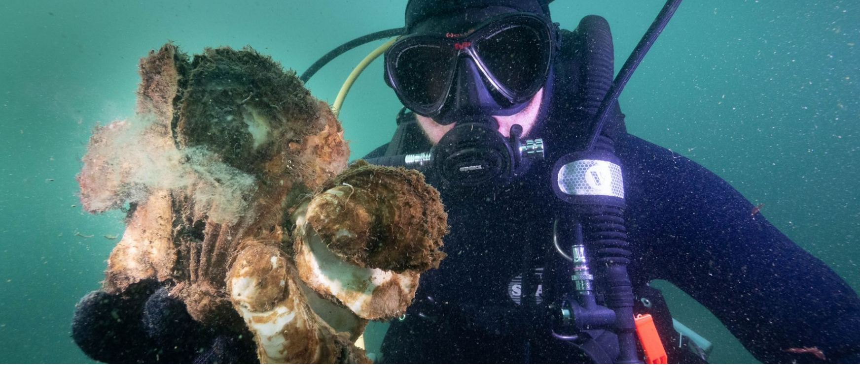ABC's LANDLINE FEATURES THE SHELLFISH REEF PROJECT