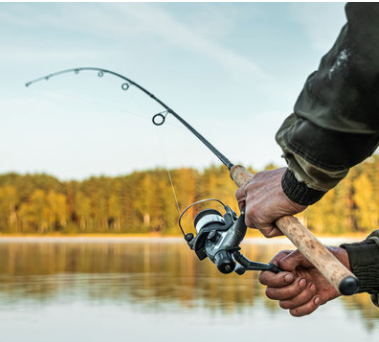 VFA Fisheries Officers Restructure