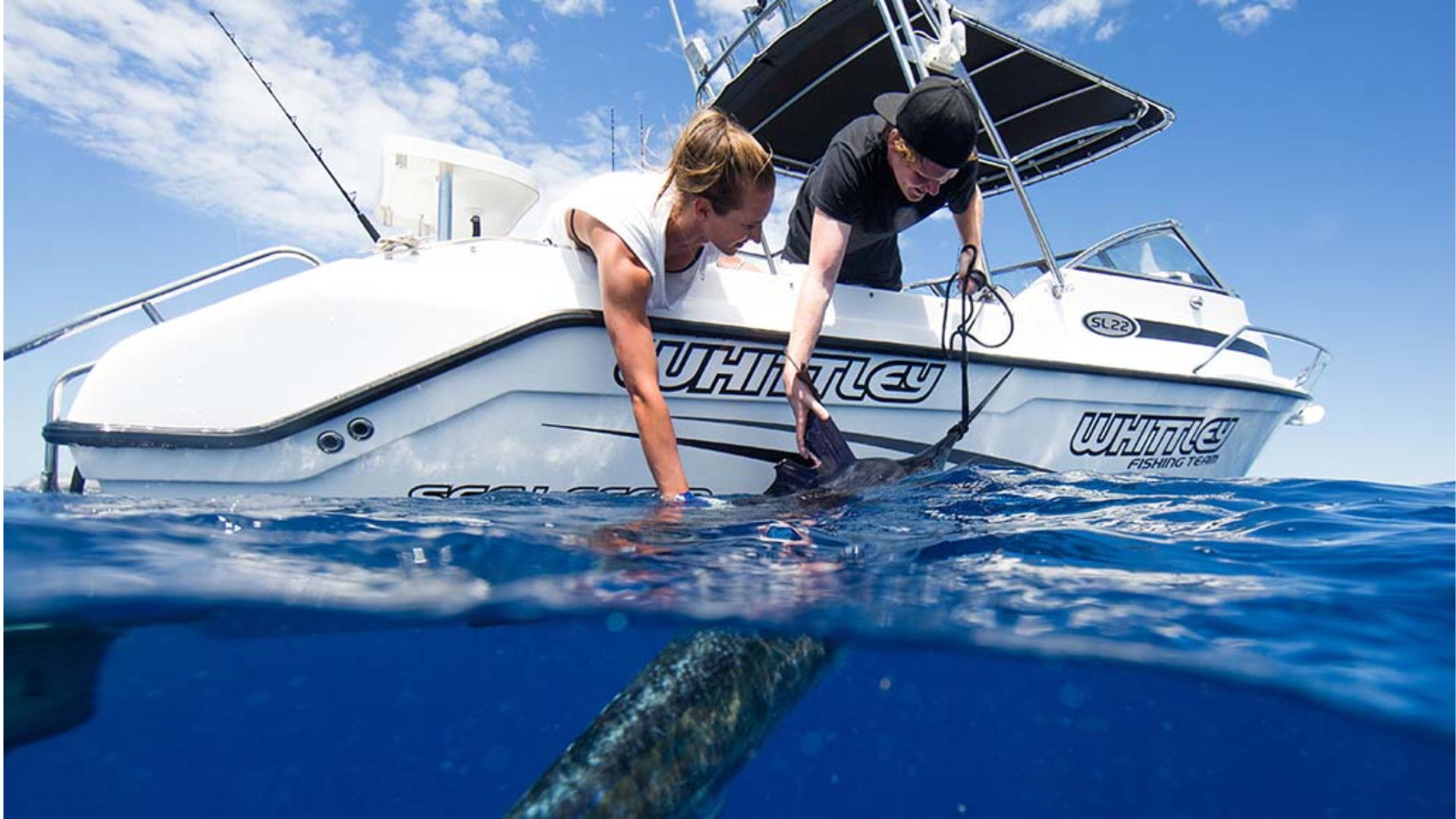 Website Images (1).png