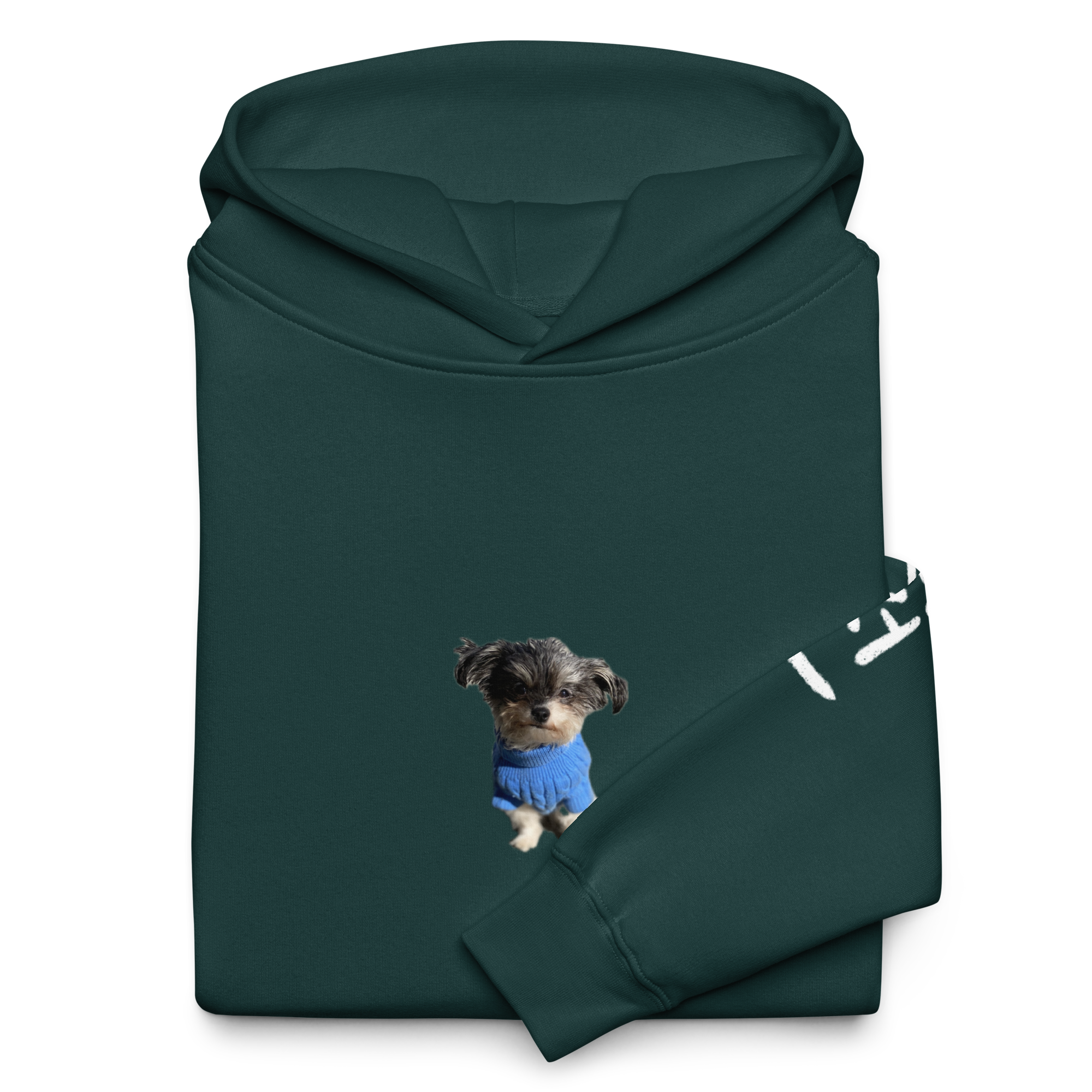 Big Dog International hoodie