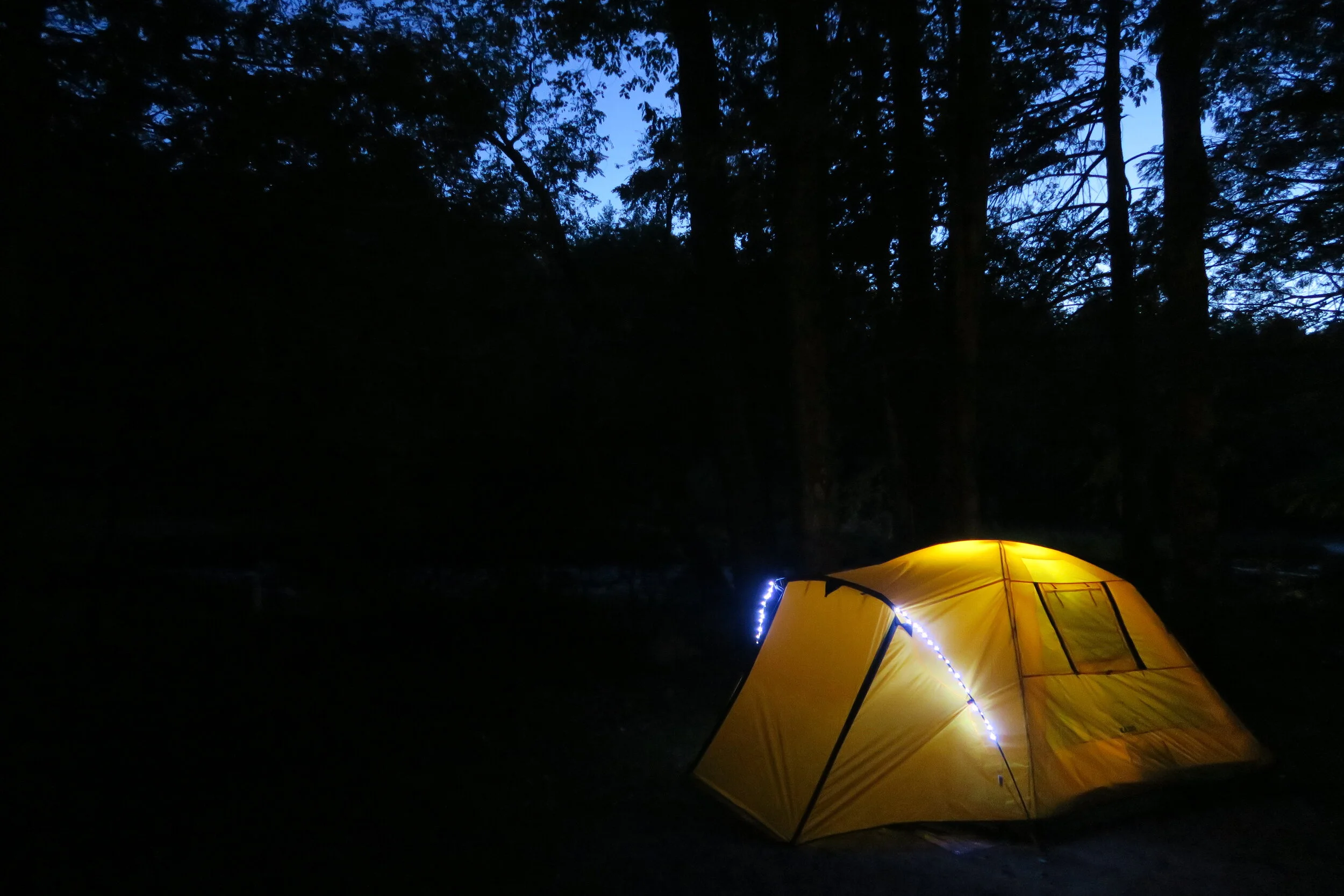 Earth Day Camping Trip