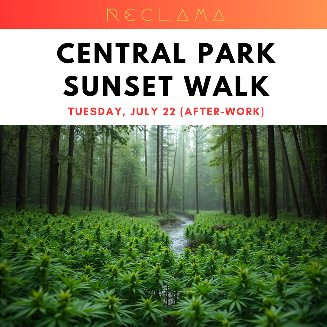 Central Park Sunset Walk (After-Work)