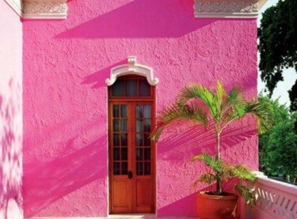 Rosa mexicano: el color de una nación — DMX32