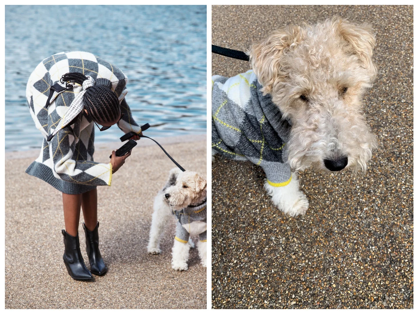 H&M y Pringle of Scotland traen de regreso las prendas de punto para ti y tu mascota