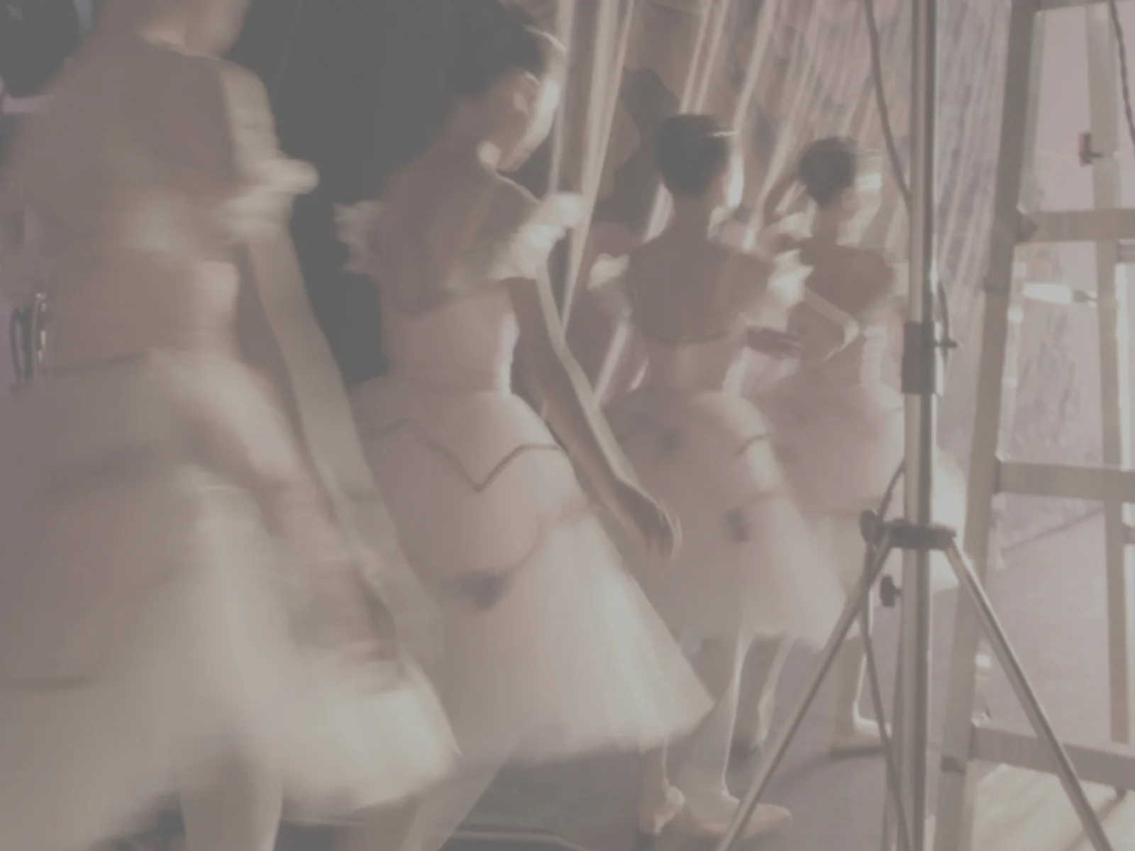 Introducing Half Mystic's Newest Staff Members