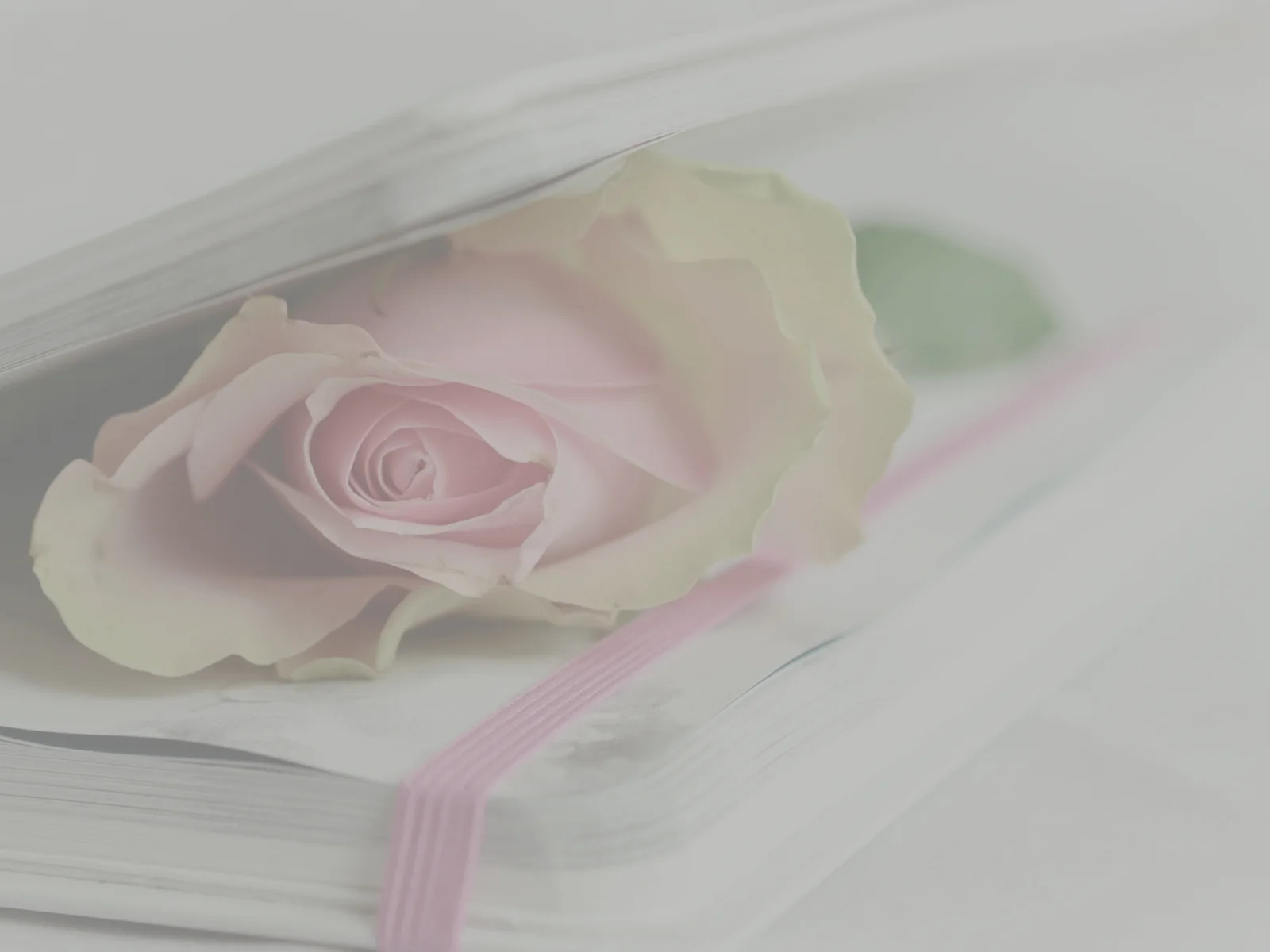 The Allegro Letters: a selection