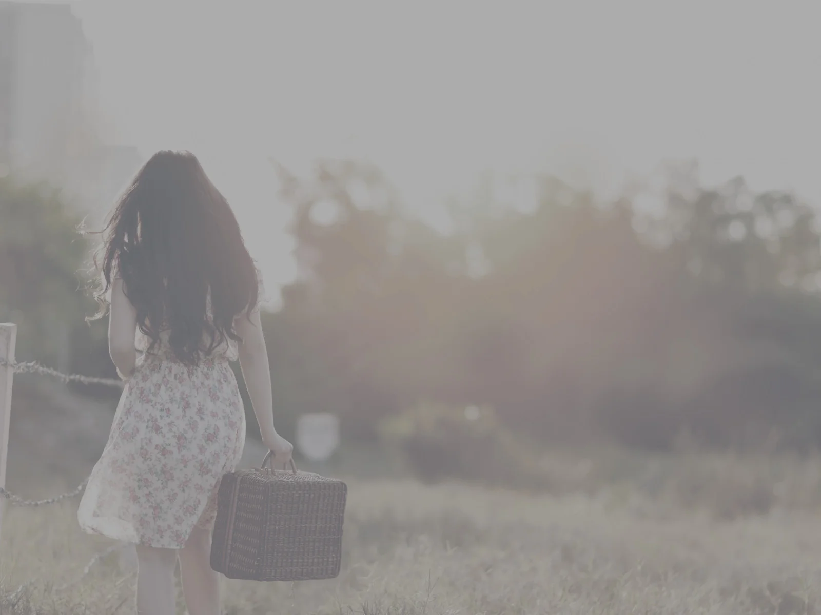 "It’s all about the music in the end." (an interview with Dorothy Chan)