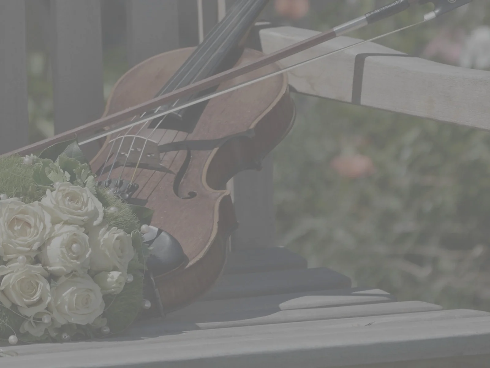 "Millions of years after a star burns out, the light of memory remains." (Kevin Rabas on Saudade)