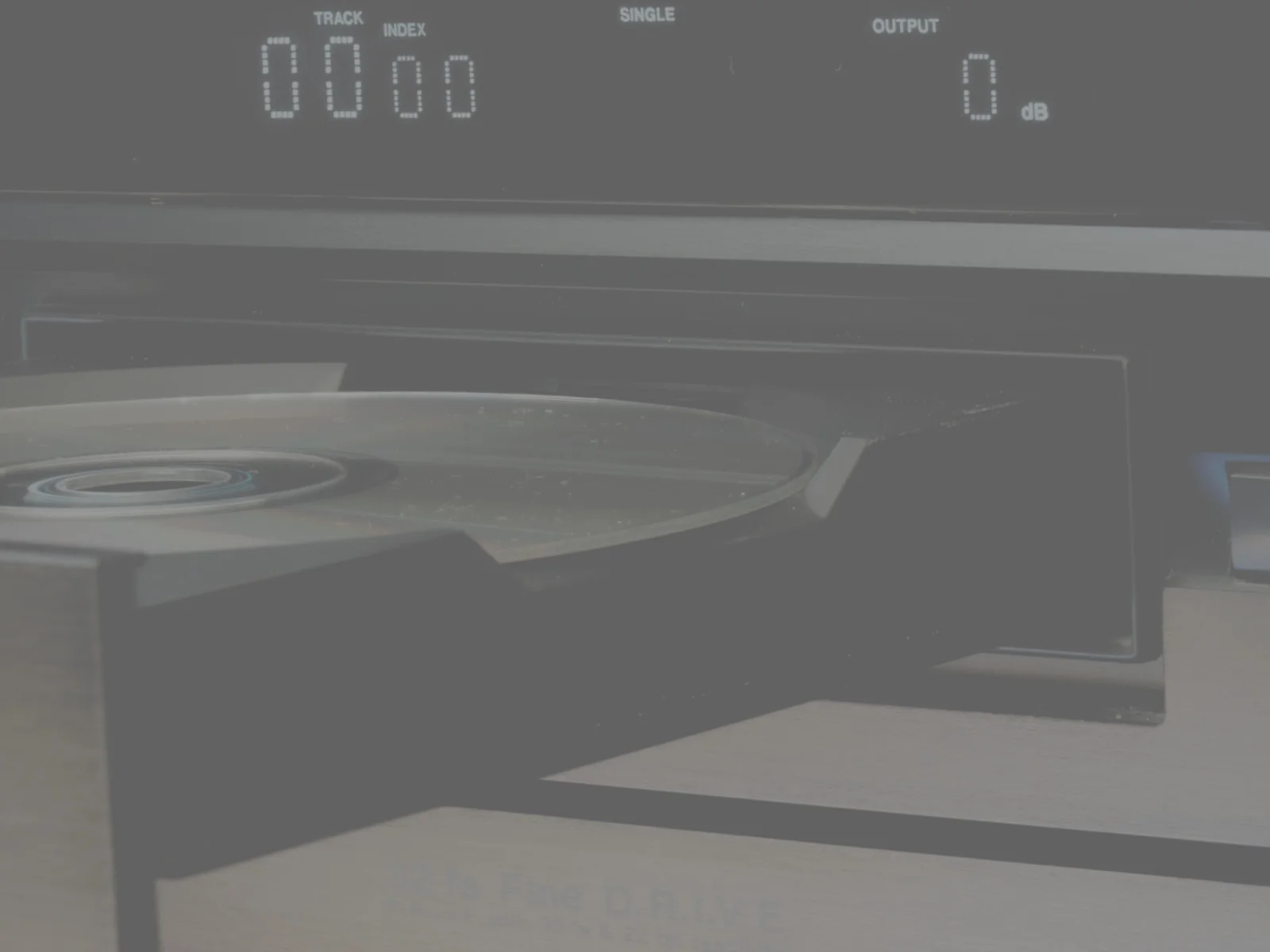 "It might be over soon." (Lydia Havens on Saudade)