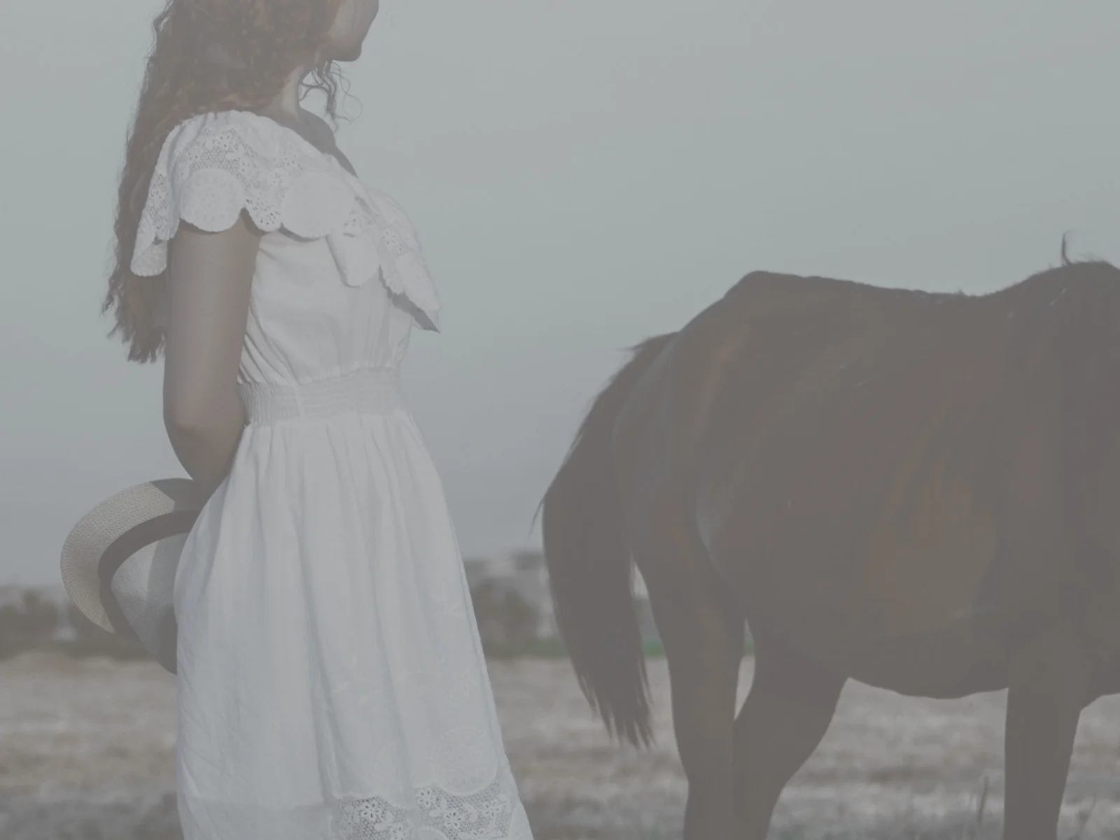 Updates on the Saudade Issue