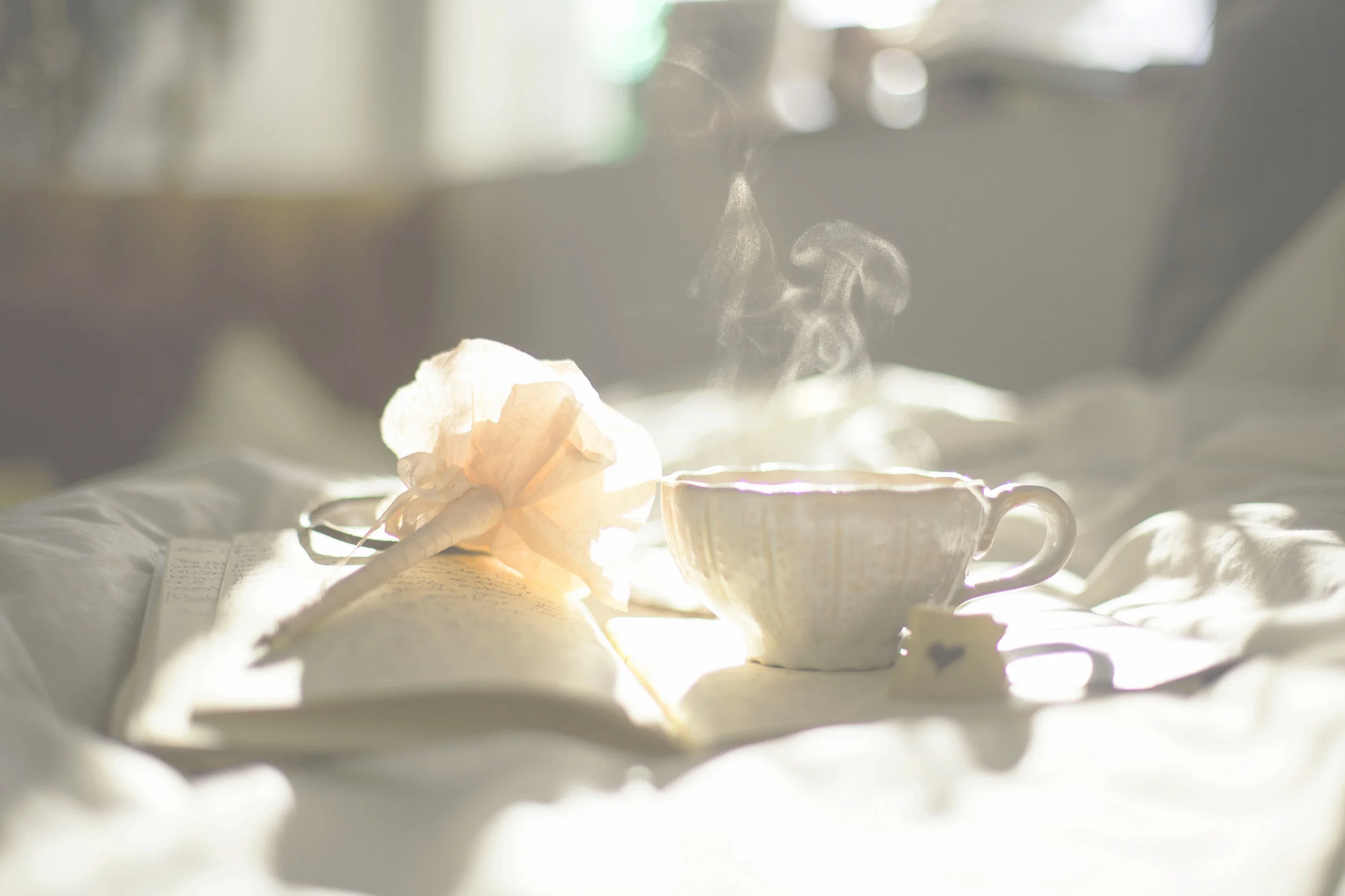 The Grazioso Letters: a selection