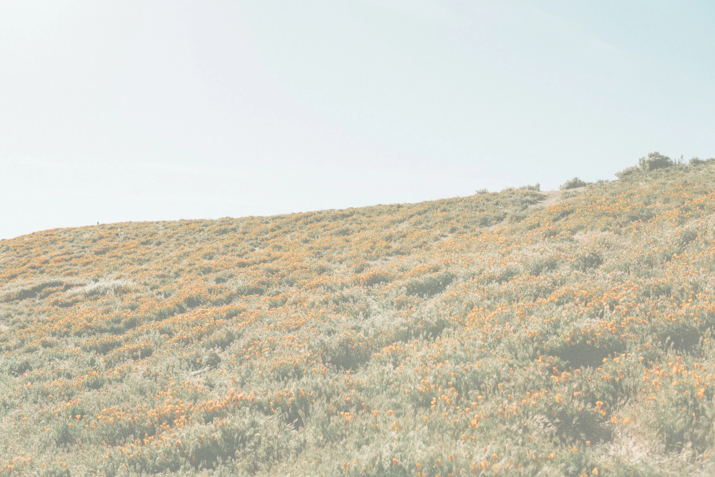 "The responsibility of a musician is to communicate what words alone cannot." (An Interview with Kyle Tolbert)