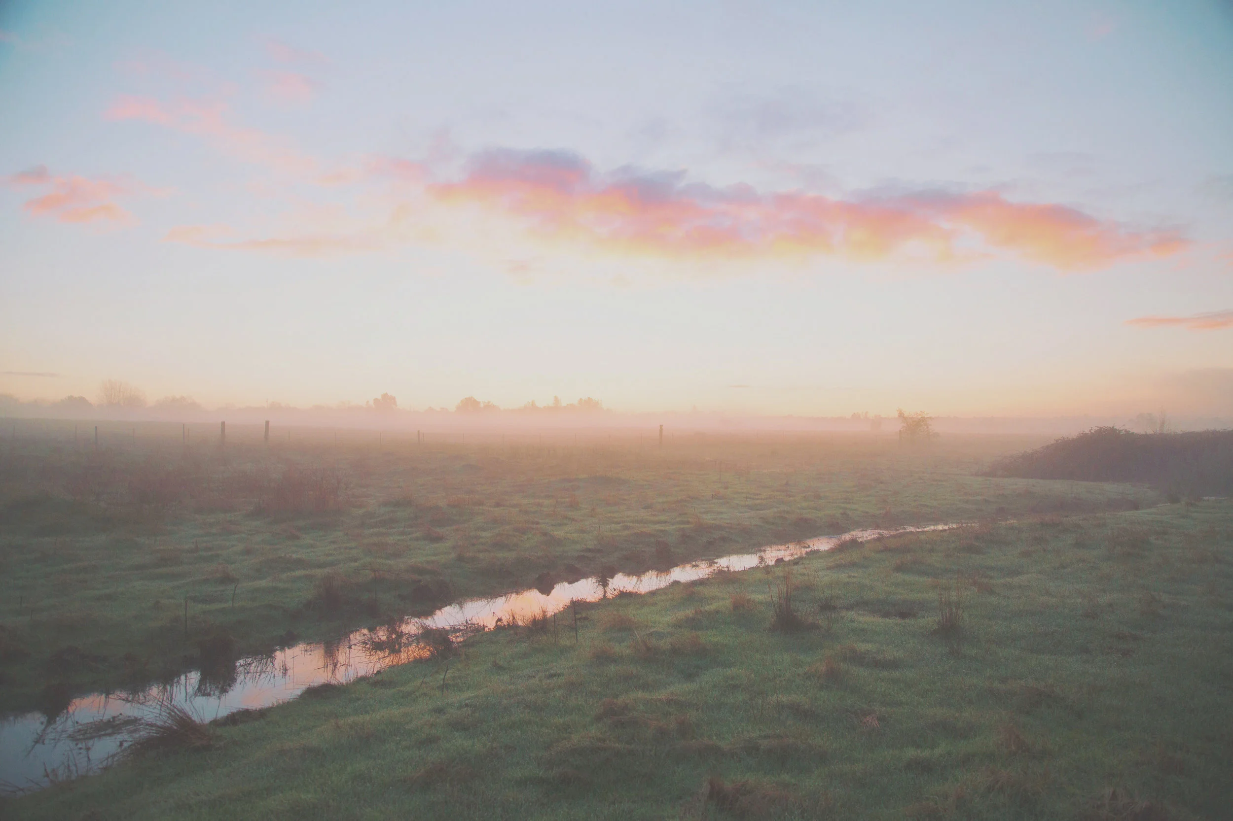 “It’s a lie to think we can both create and maintain some wholeness in this world.” (Devin Kelly on Grazioso)