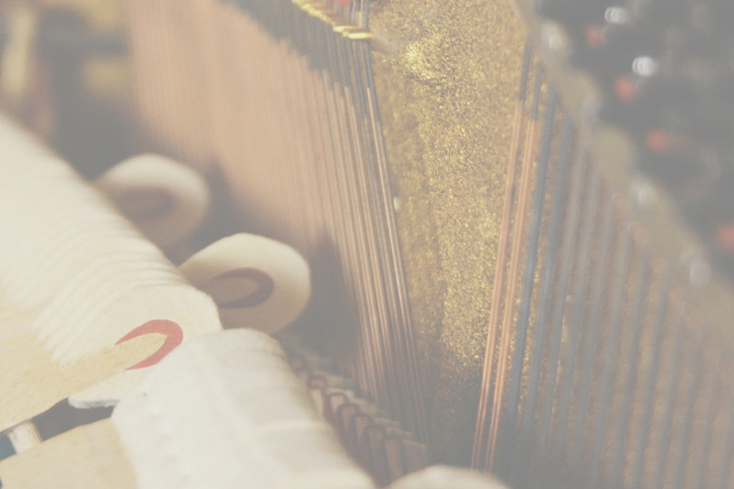 Songs for the Grazioso Issue (a selection)