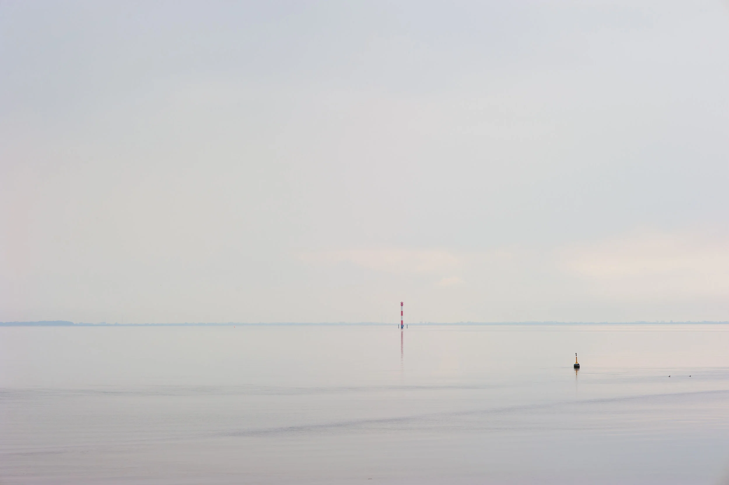 “The day is green and I long ago reached the limit of my fear.” (Jill Mceldowney on Grazioso)