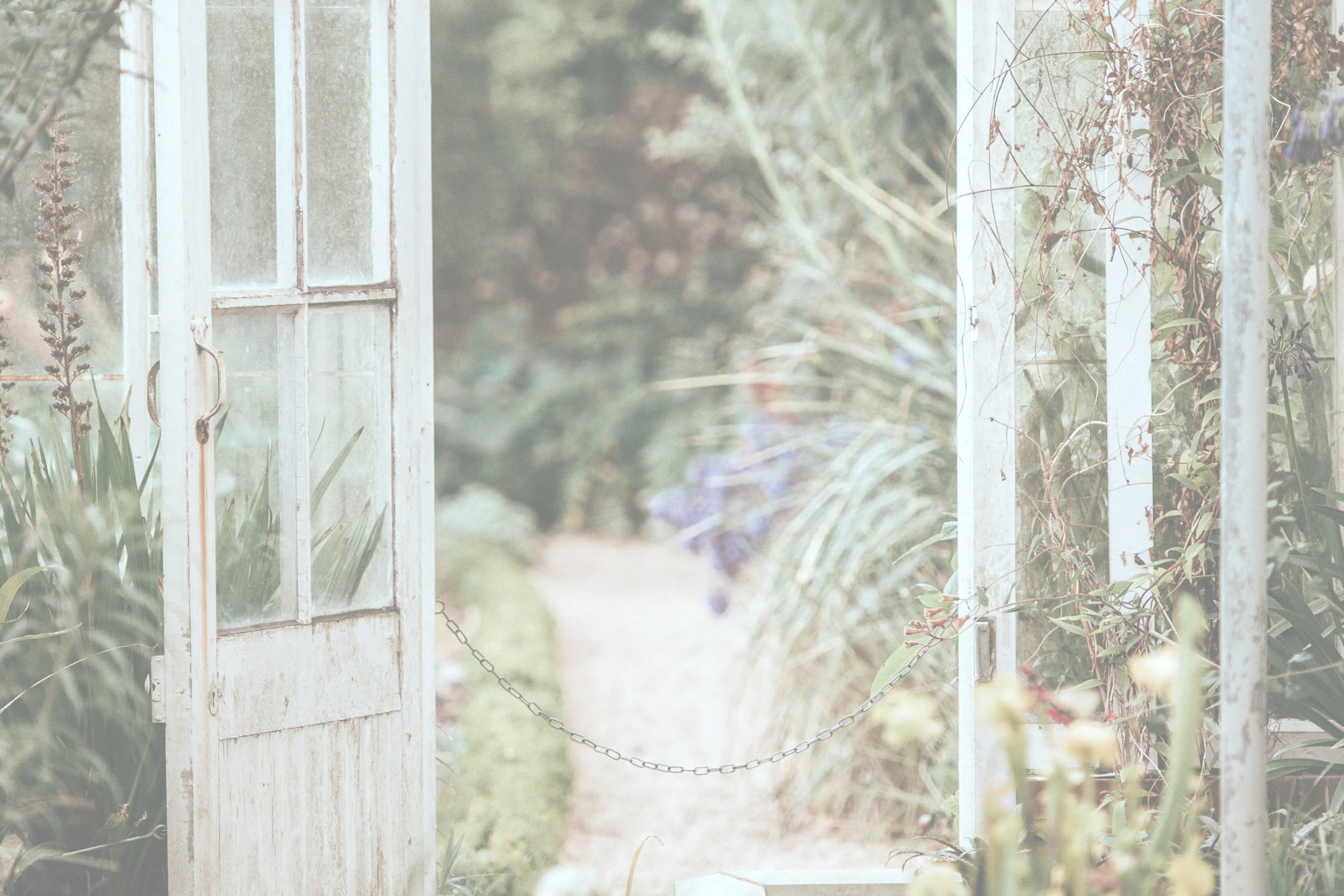 "Again, darlings, again." (Melissa Atkinson Mercer on Knock)