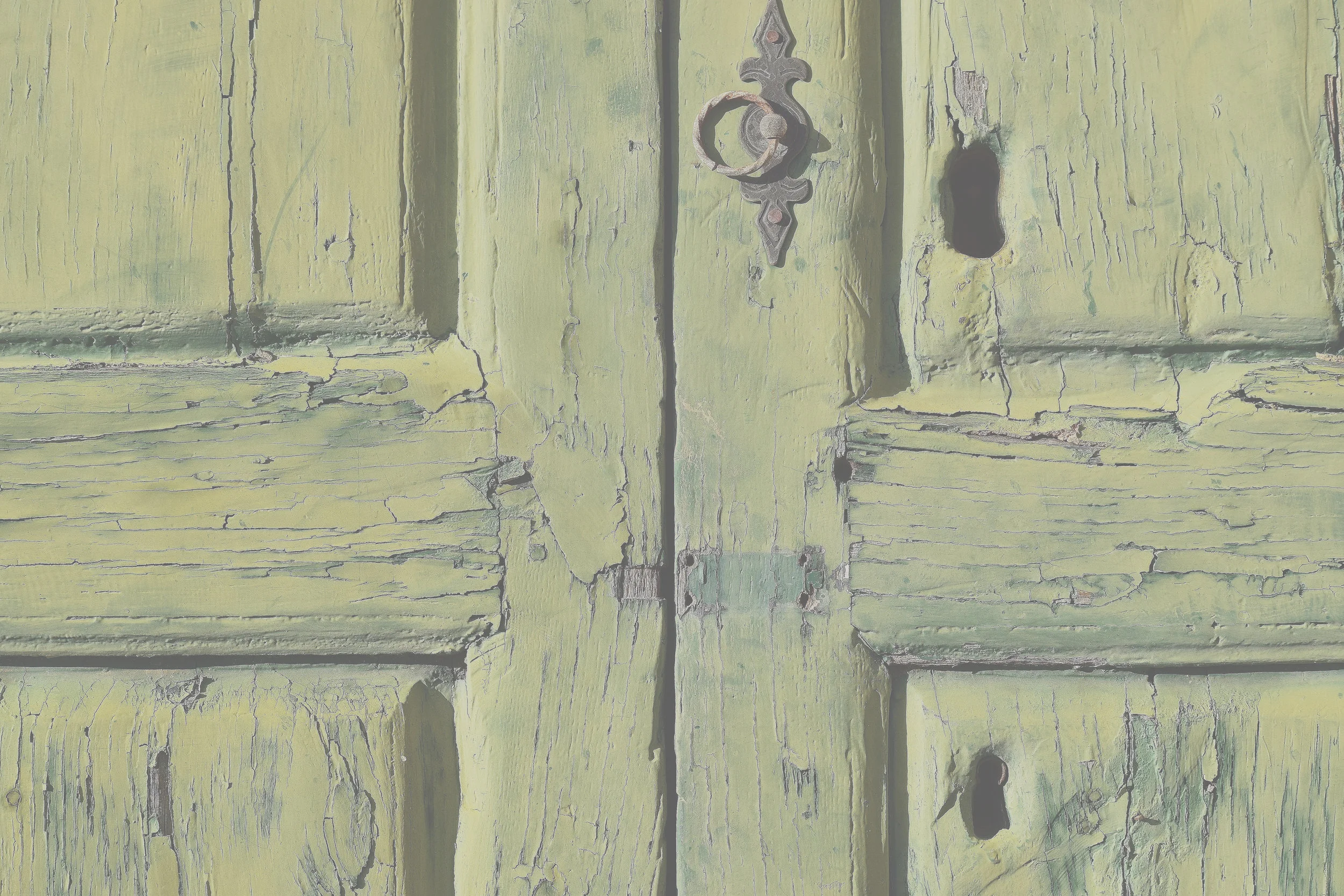 "Mental illness, memory, and myth are not elements you can solve and walk away from." (An Interview with Melissa Atkinson Mercer)