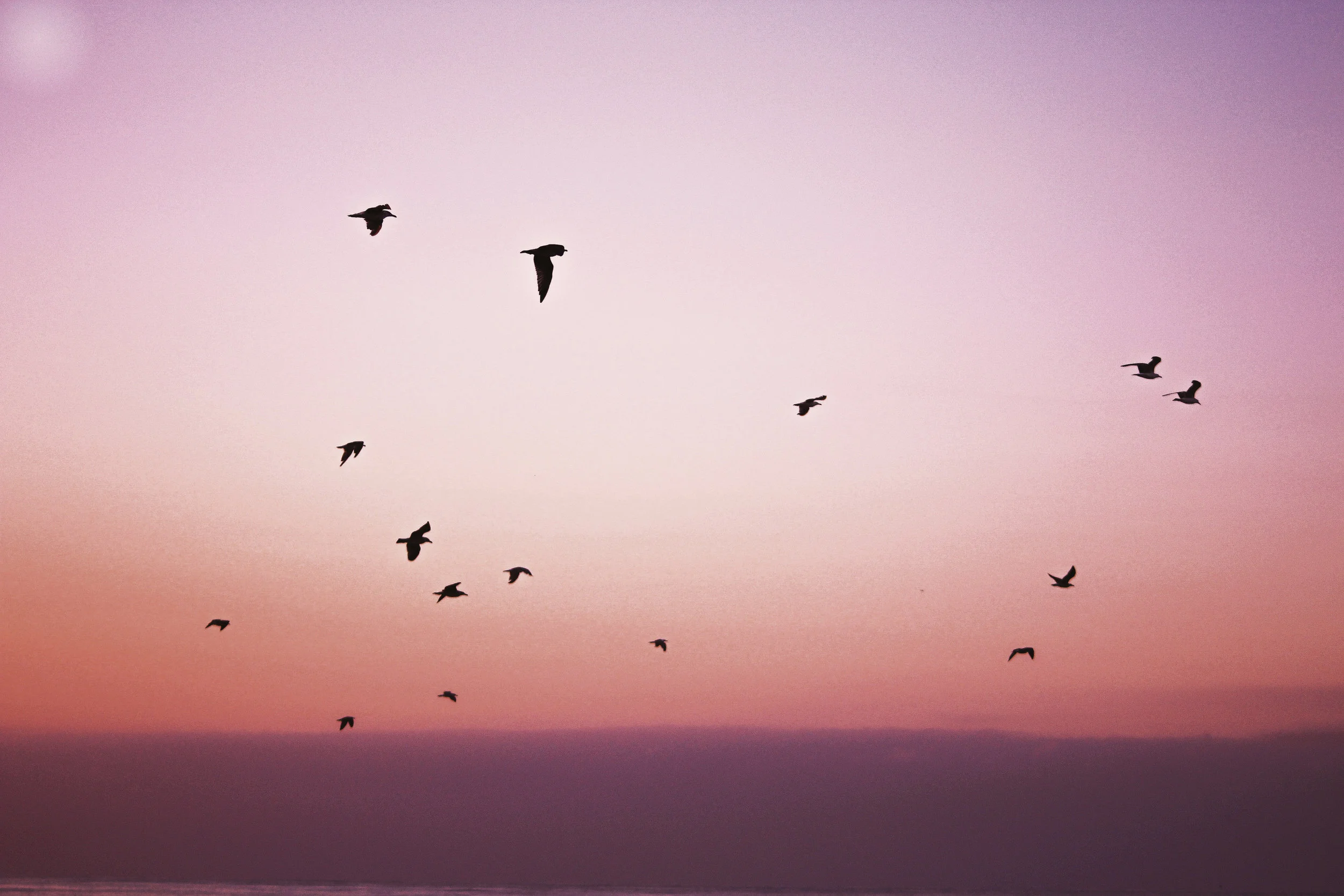 "All of our pieces have as many stories as they have listeners." (VIRTA on "About to Fly" &amp; Cadenza)