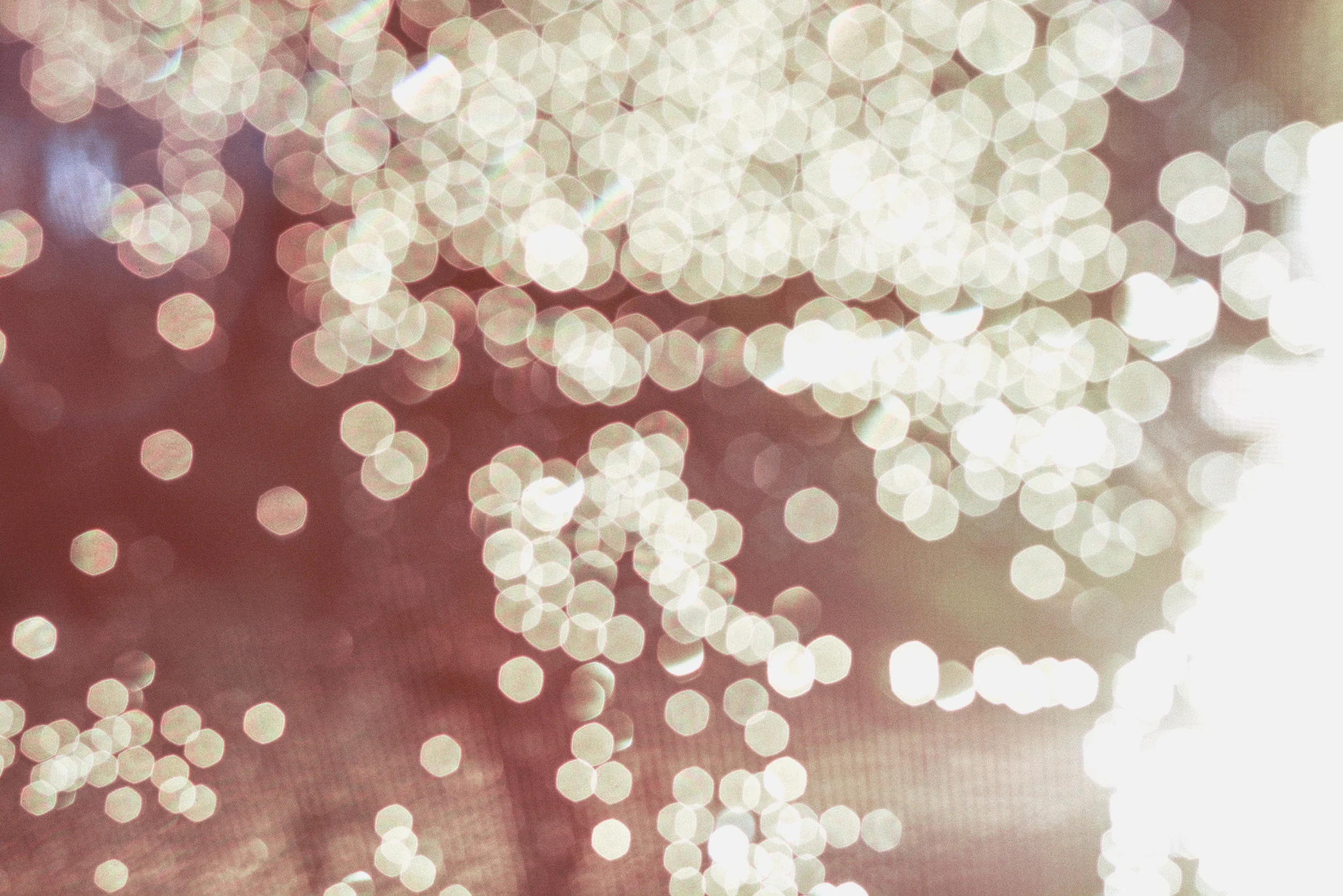 In This Gentle Light, Be Reminded of the People You Miss