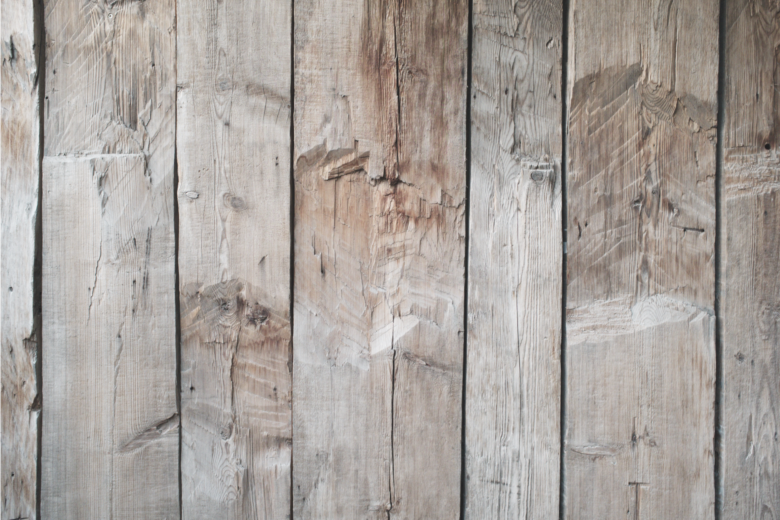 Обои Под Дерево Купить В Екатеринбурге