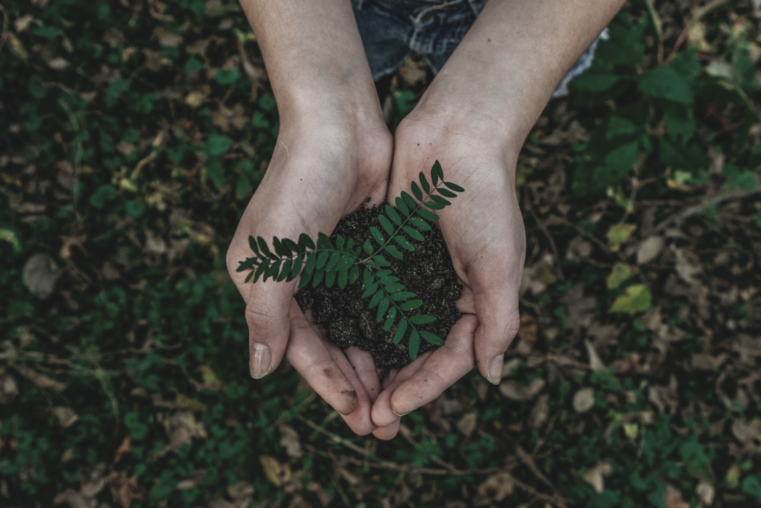 "I wanted to know the scent of new earth, to hold light in my hands, to be human as furiously as I could." (Tamara Jobe on Hag)
