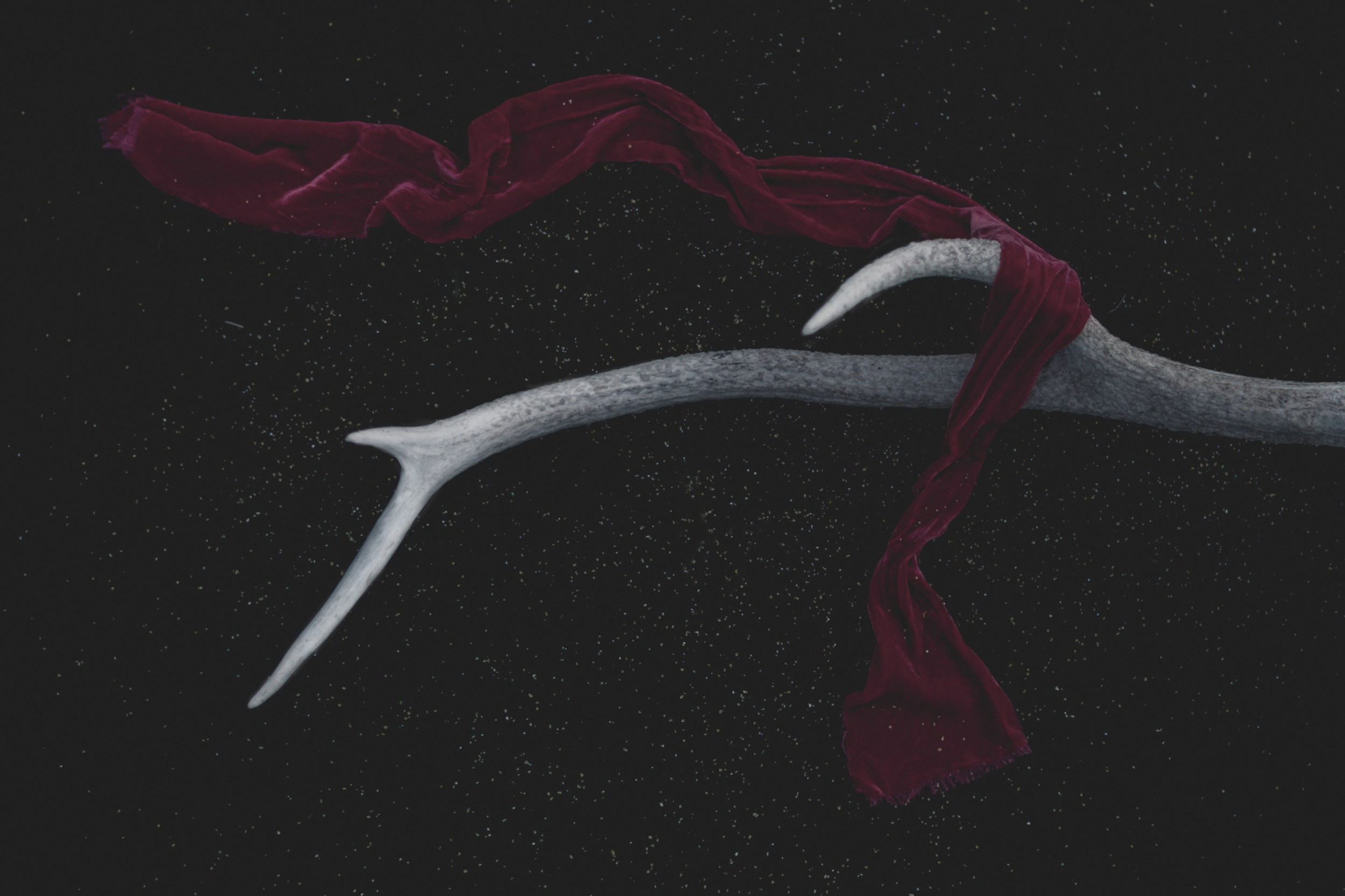 From the Editor & Contest: Tamara Jobe's Hag
