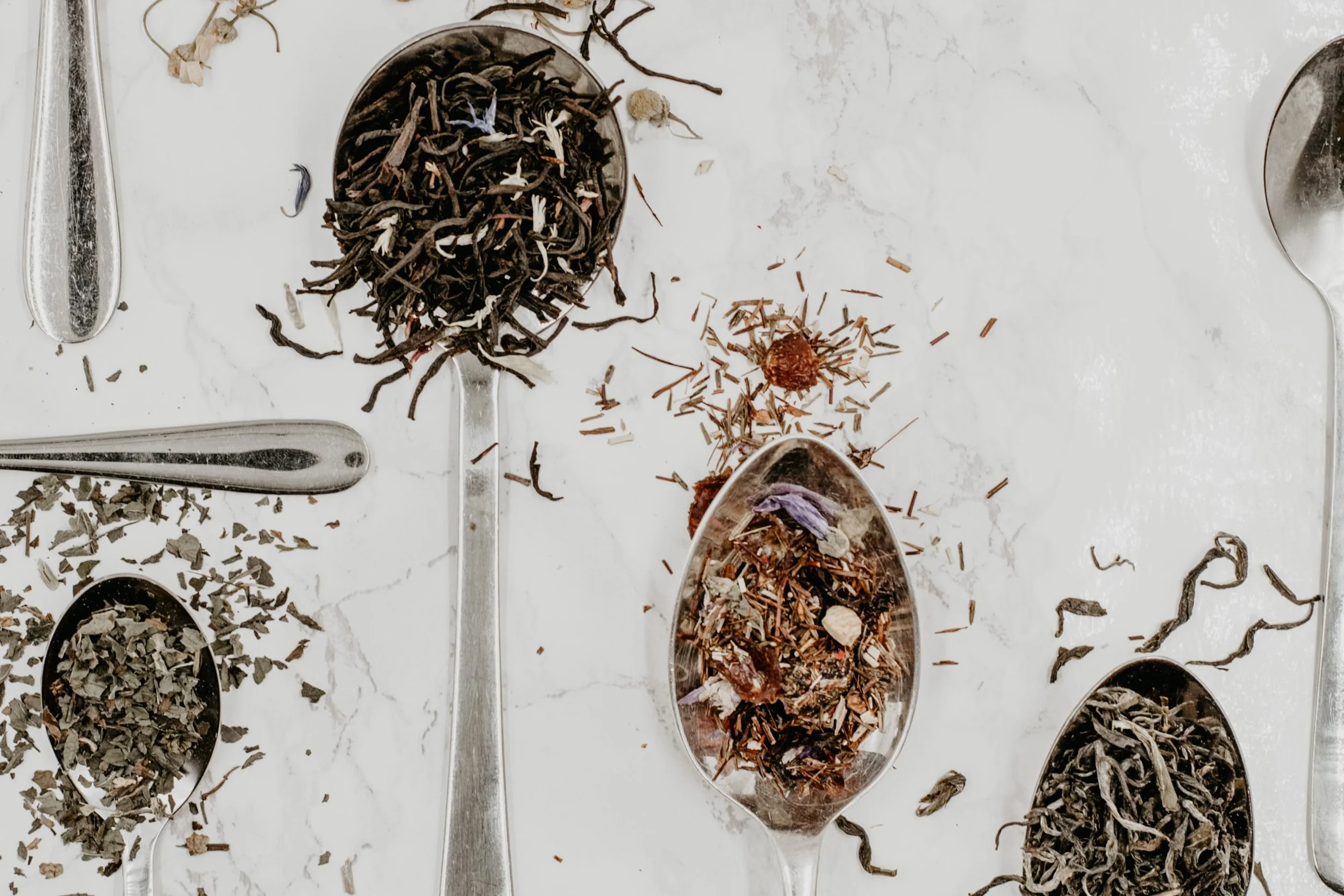 X: Elegy | Uncomposed: "Shrine to July"