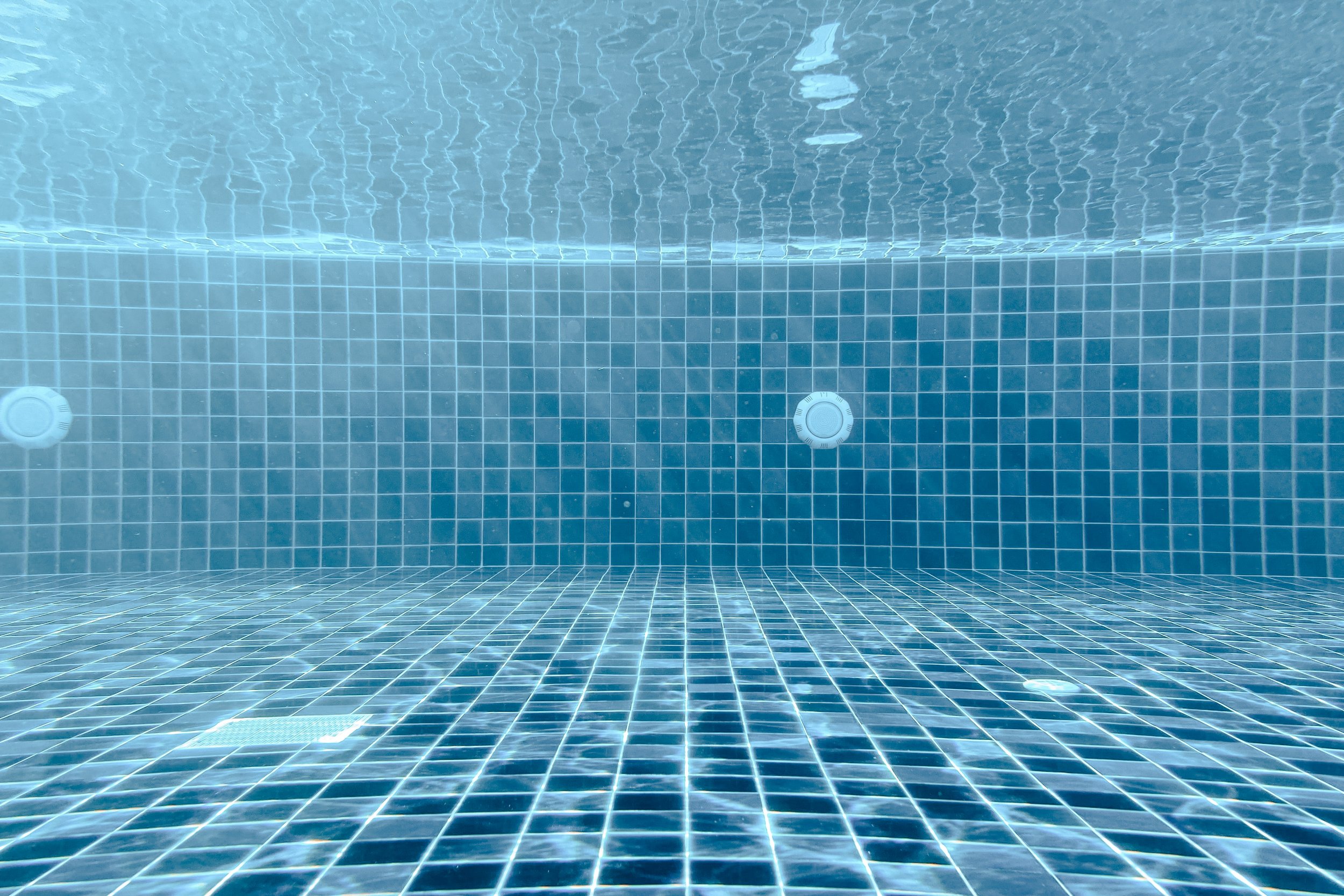 "To mourn is also to acknowledge the limitations of language." (Gavin Yuan Gao on Elegy)