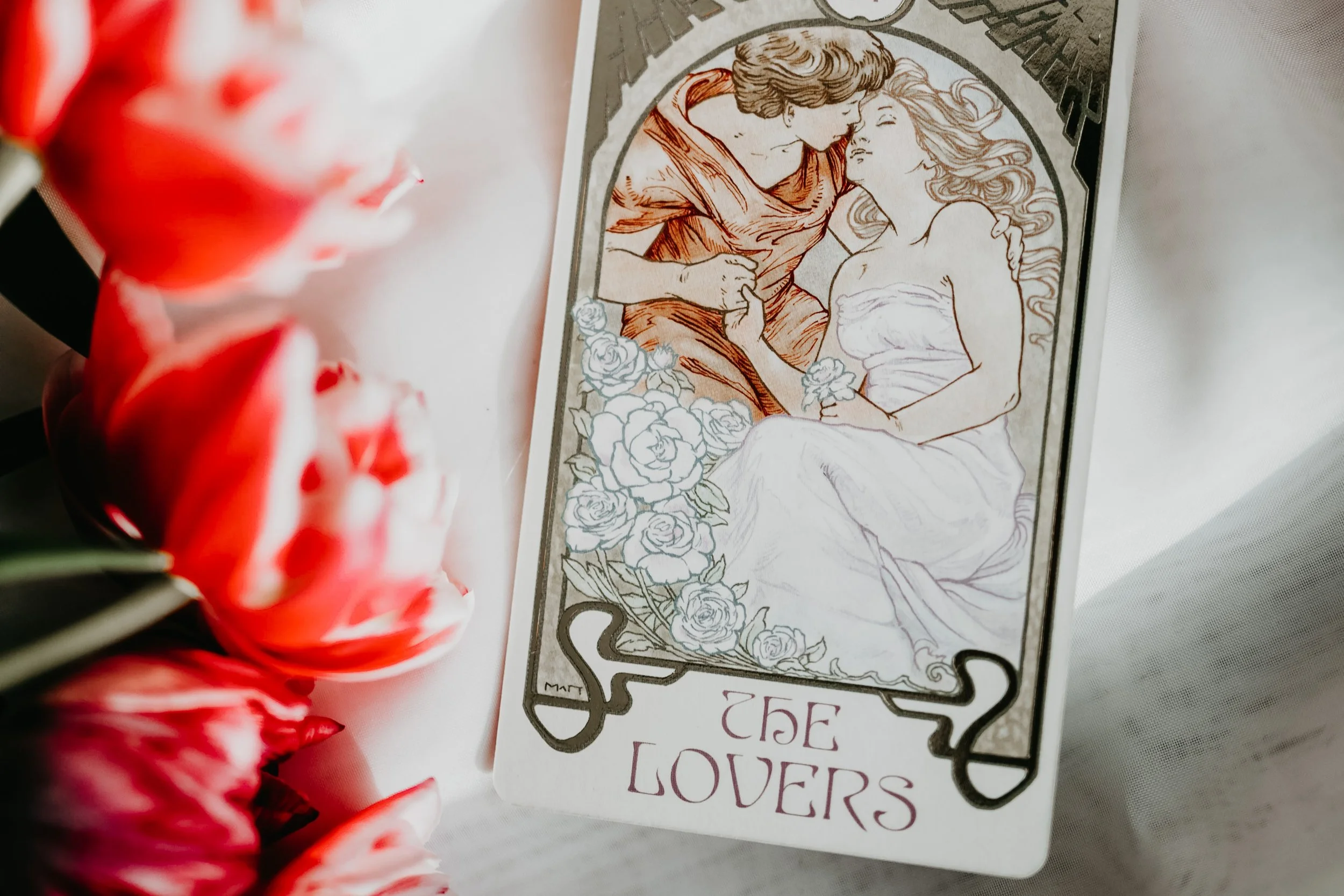 X: Elegy | Silver-Tipped Swallow: "Debt Collector's Lullaby"