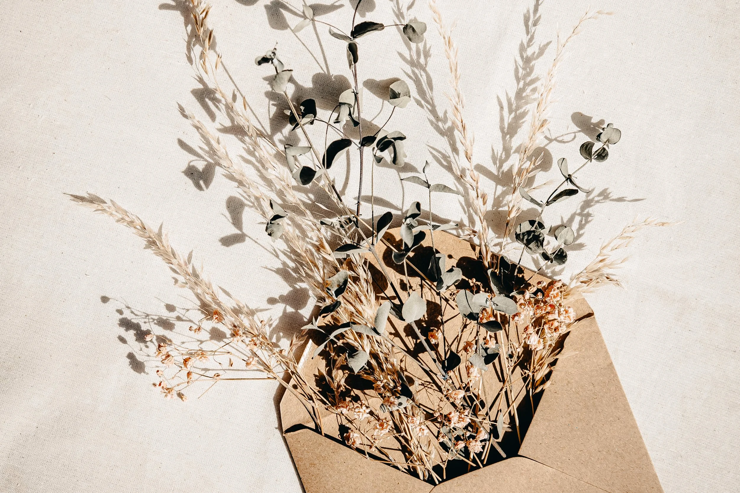 The Elegy Letters (A Selection)