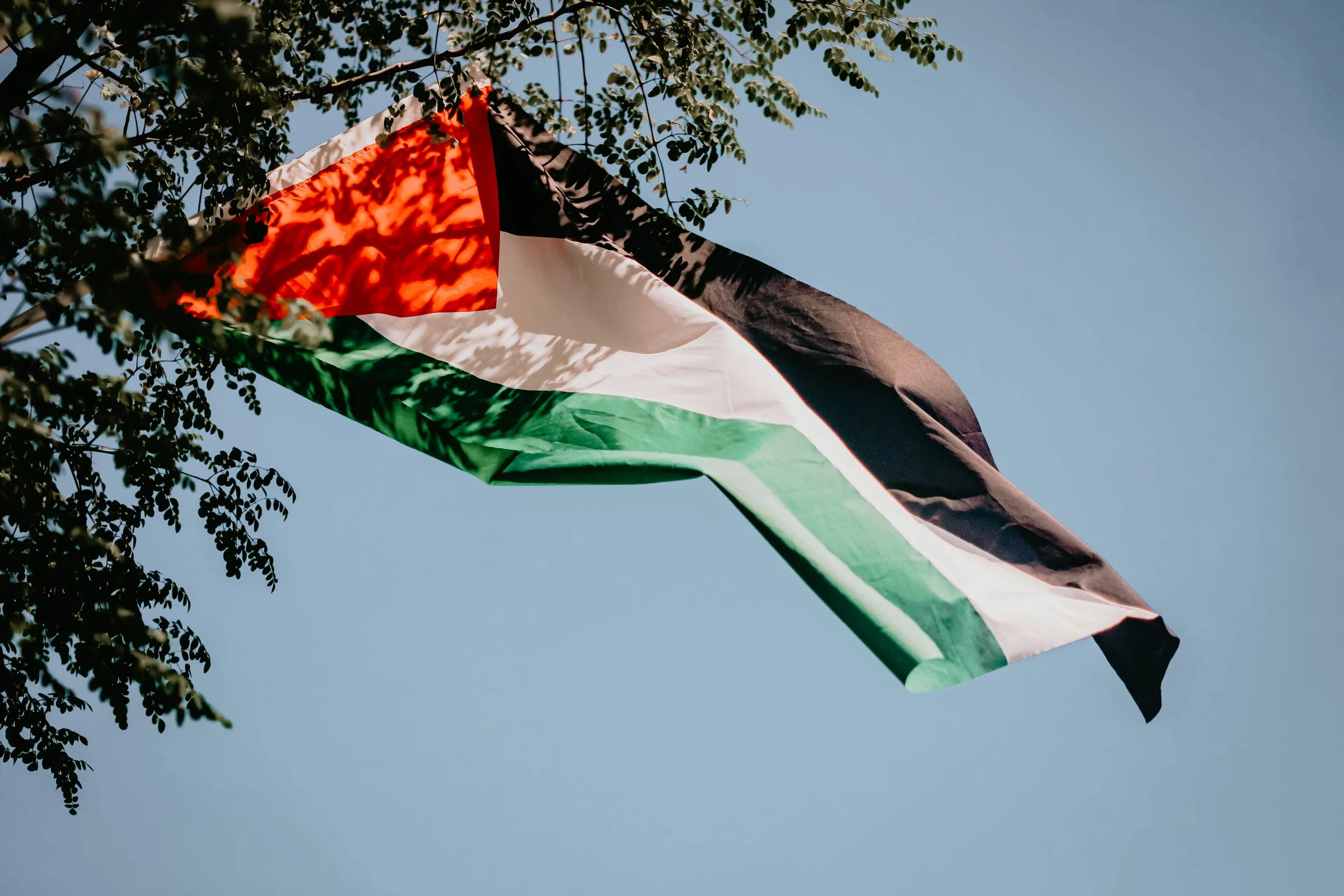 "A ringing clarity, followed by smoke. Deliberate naughtiness." ([sarah] Cavar on Presto)