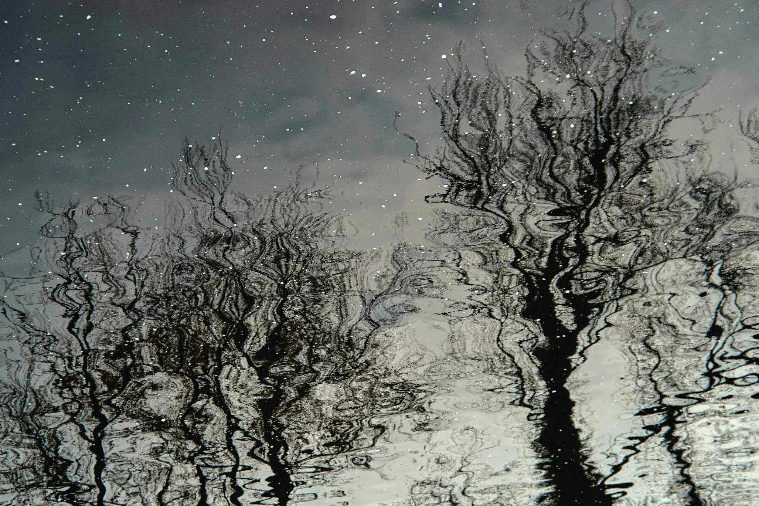 Songs for the Sevdah Issue (A Selection)