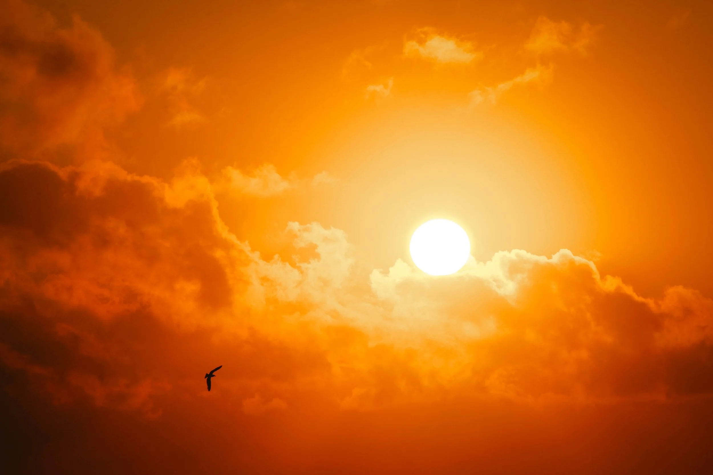 Pulling the Sun Down: A Selection of Our Favourite Hybrid Magazines