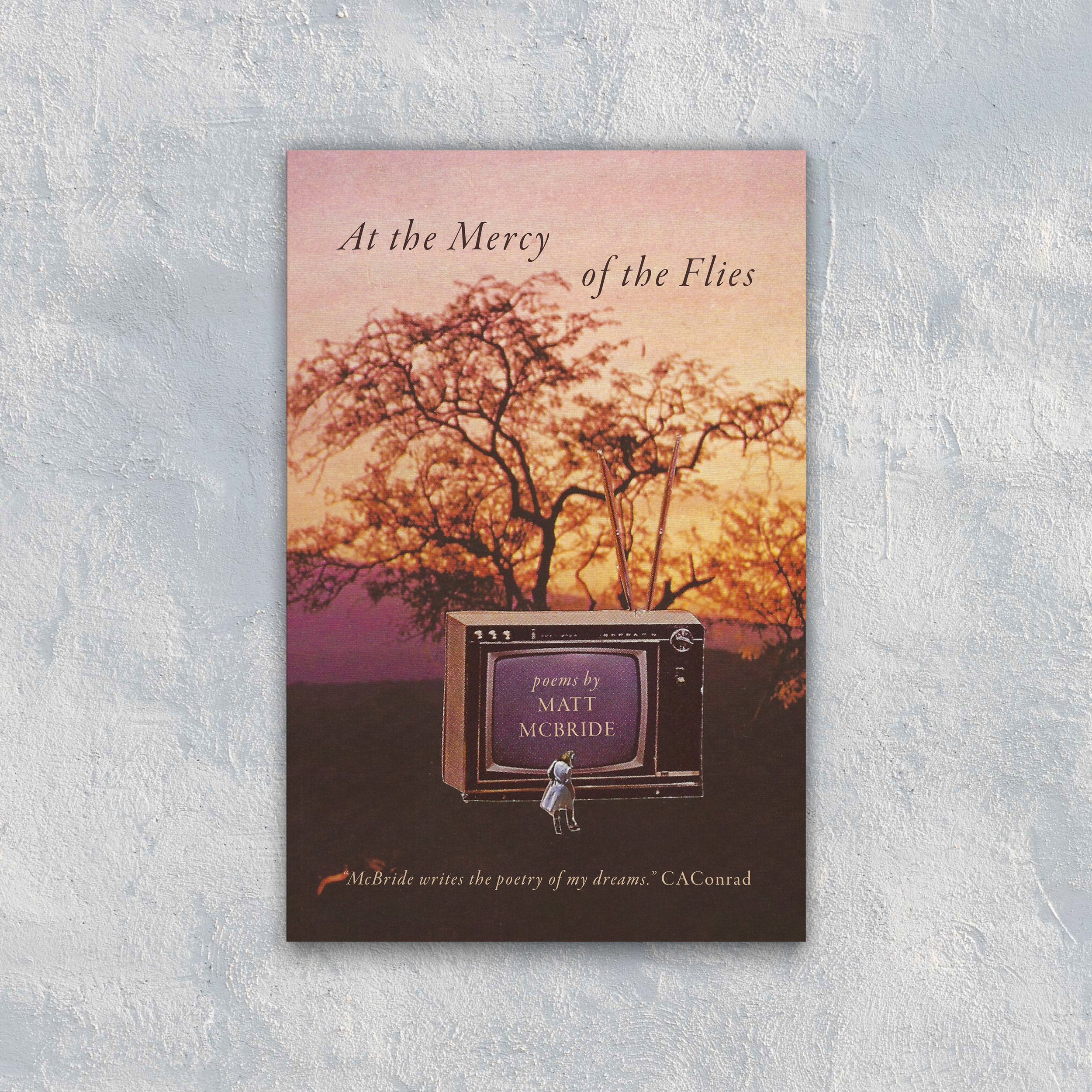 At the Mercy of the Flies by Matt McBride