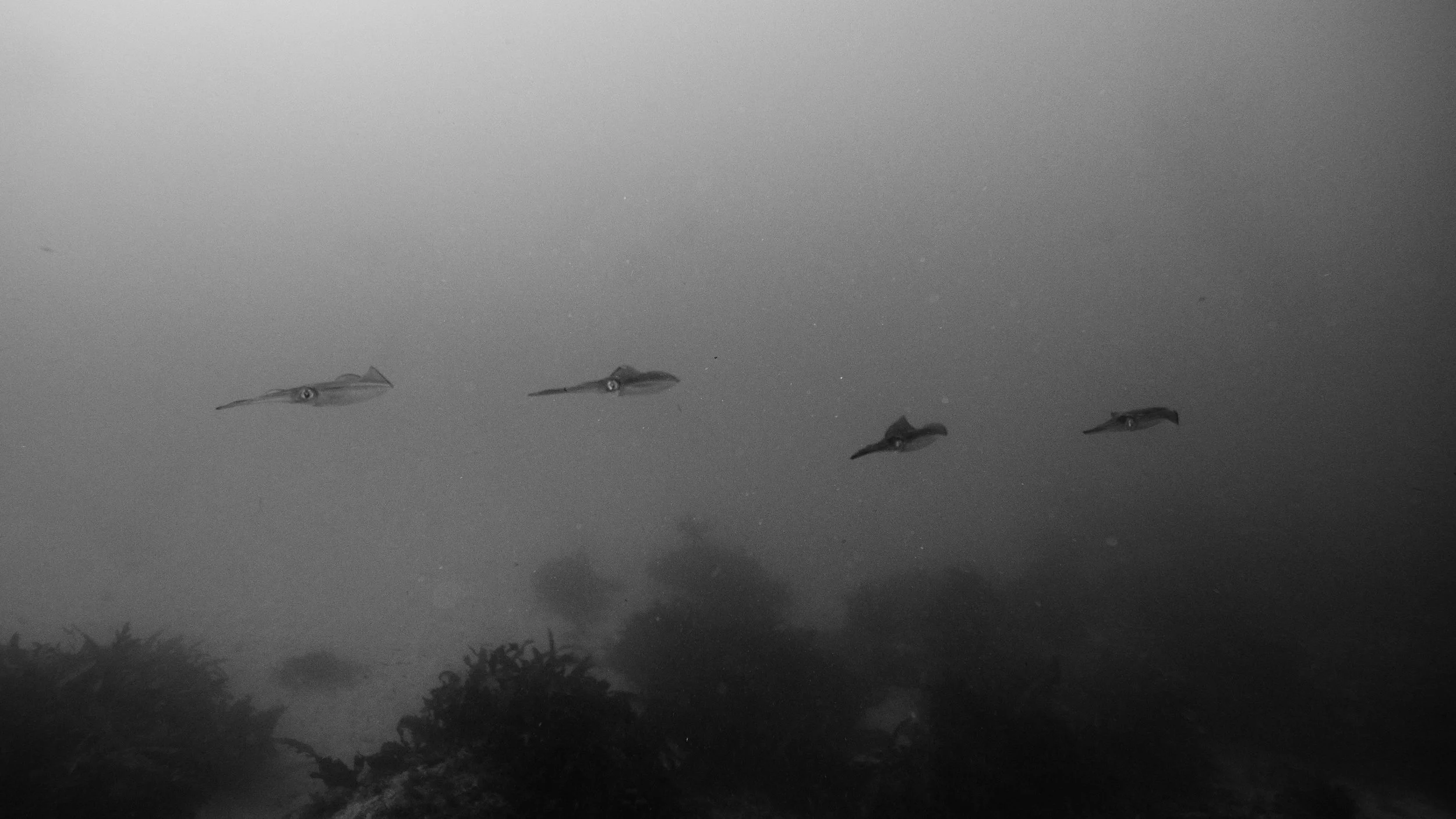 P7070608-3.jpg