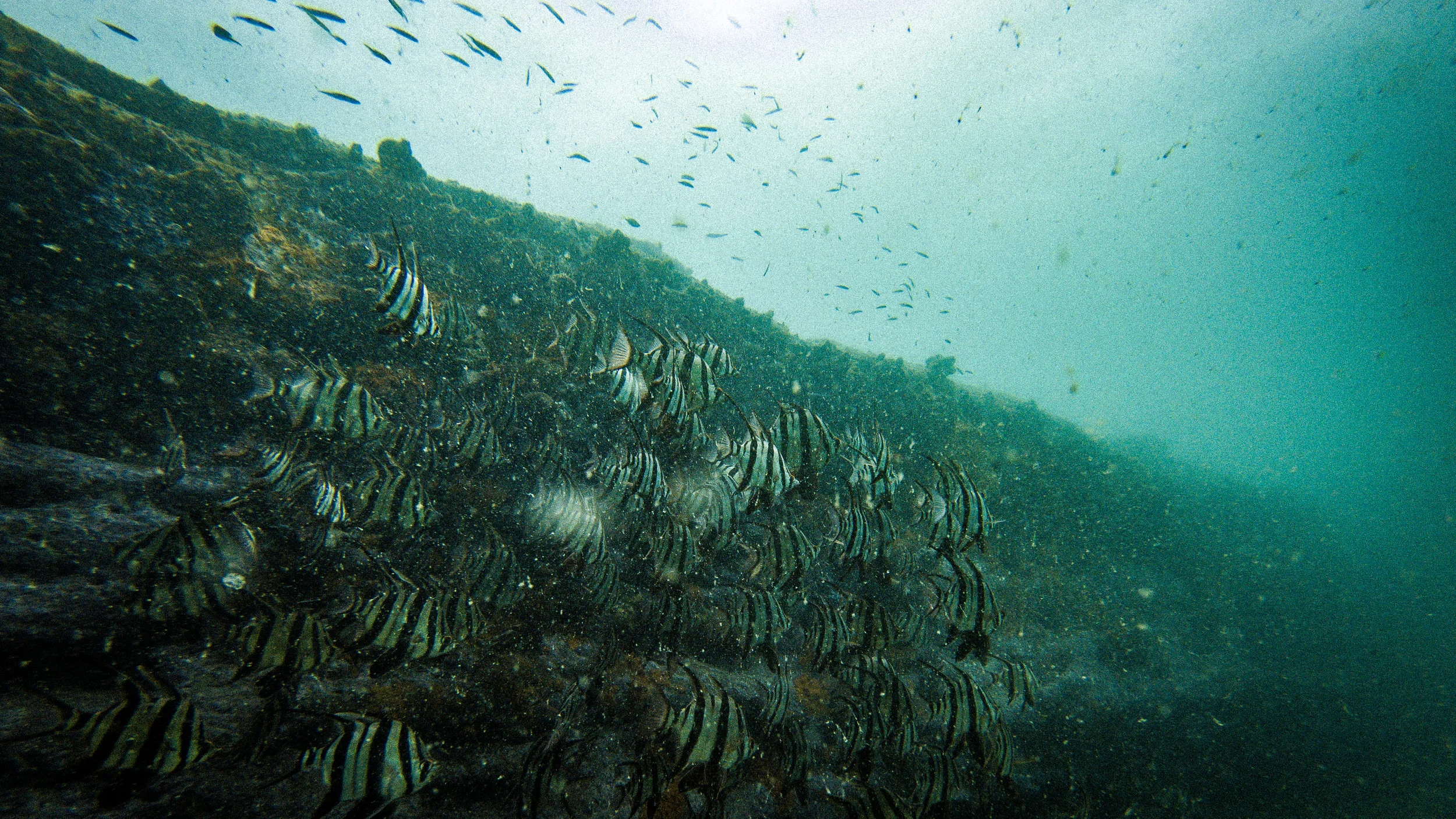 GOPR1567.jpg