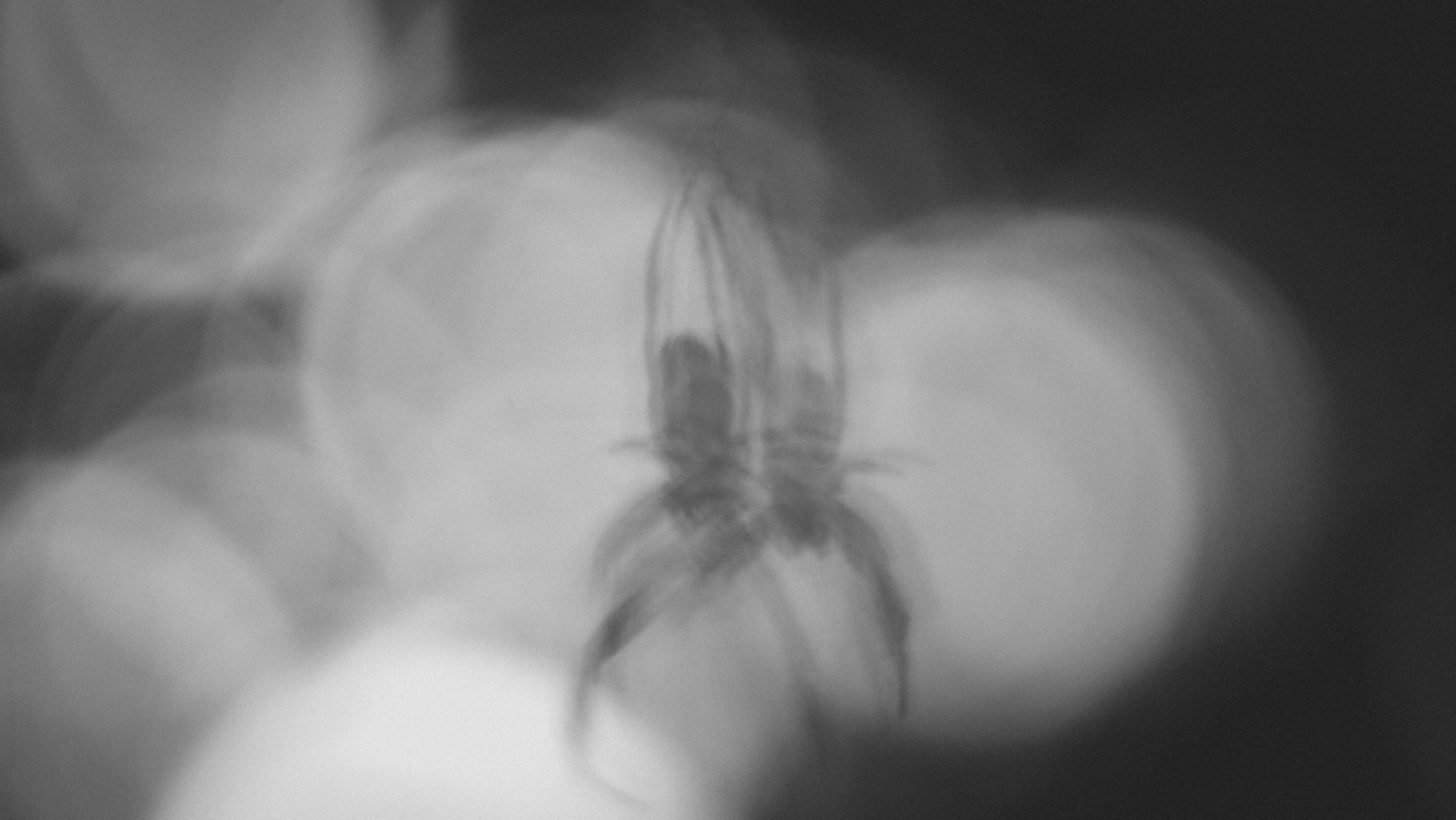 P4210848.jpg