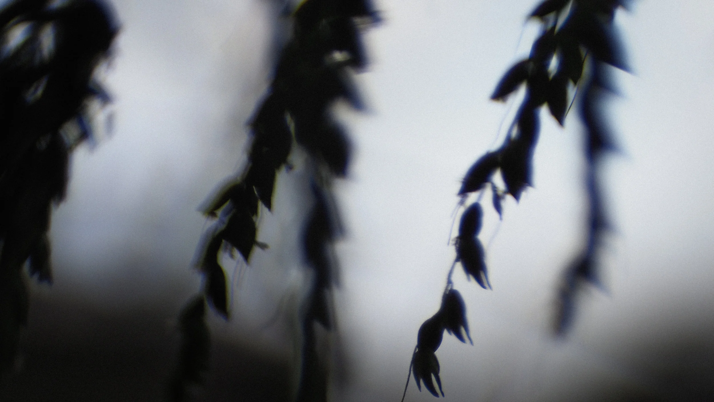 P4210865.jpg