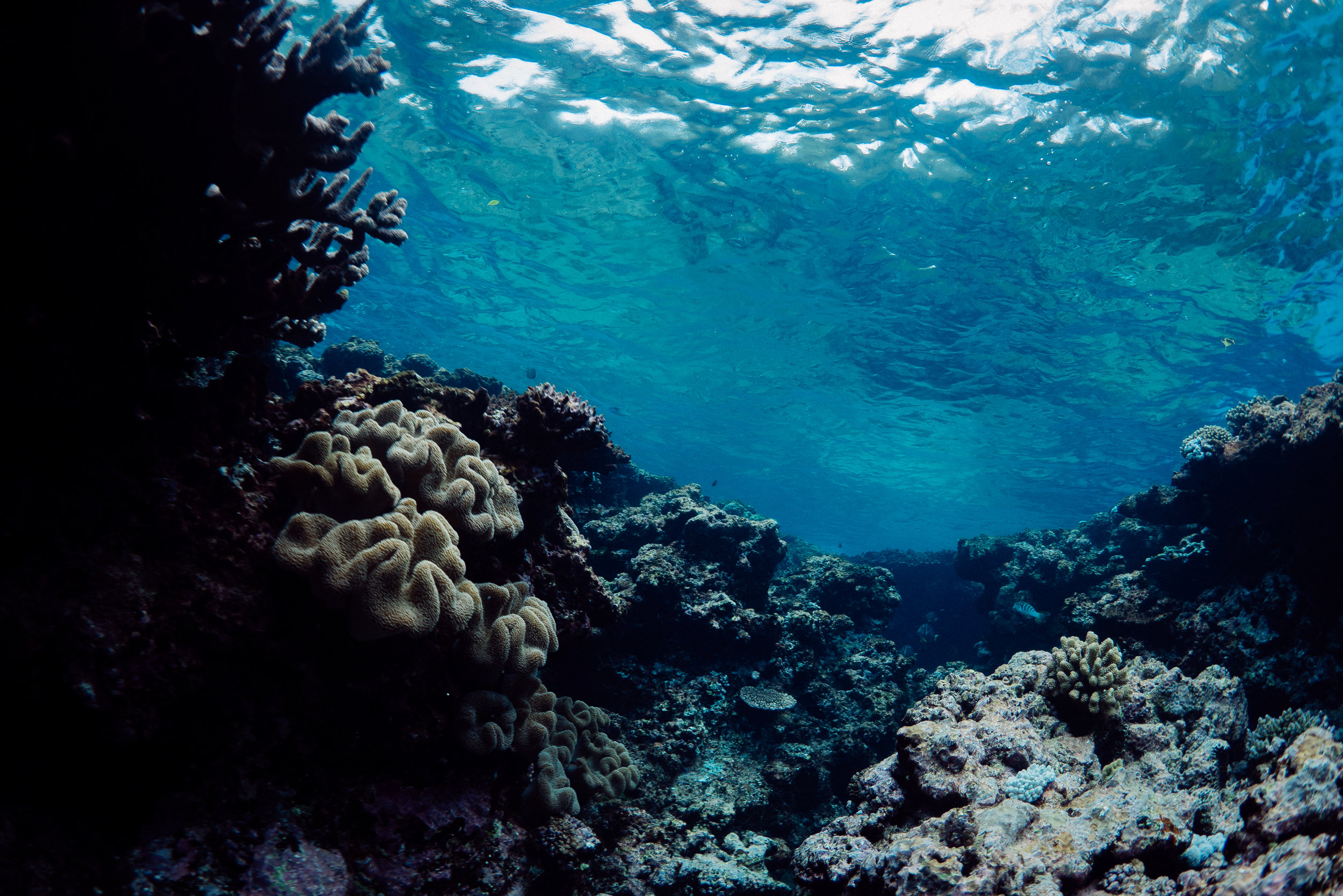 P9150042.jpg