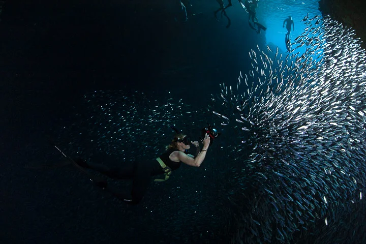 Photo by Scott Portelli.