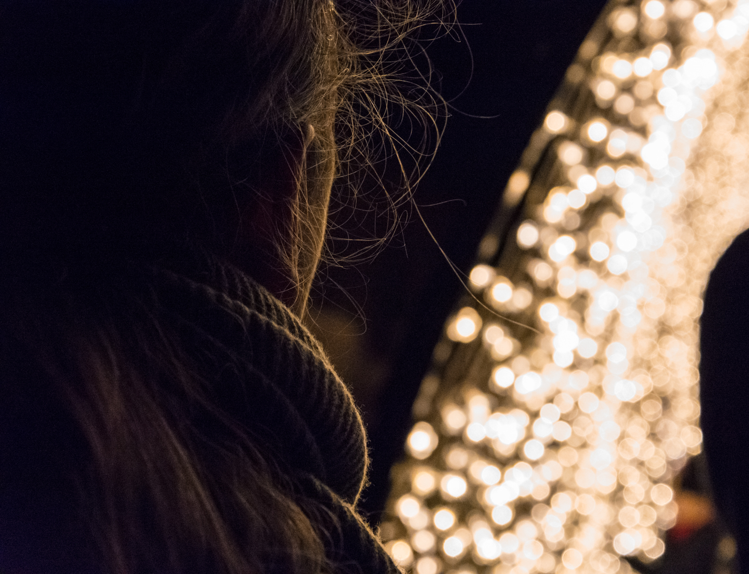 Edinburgh Botanic Gardens Christmas Light Show, December 2018