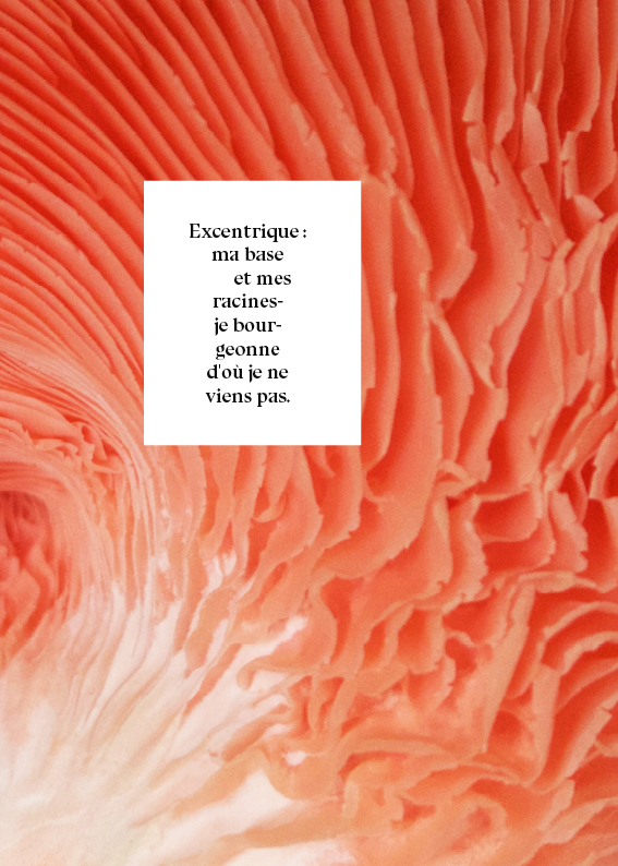 Histoire d'oreille2.png